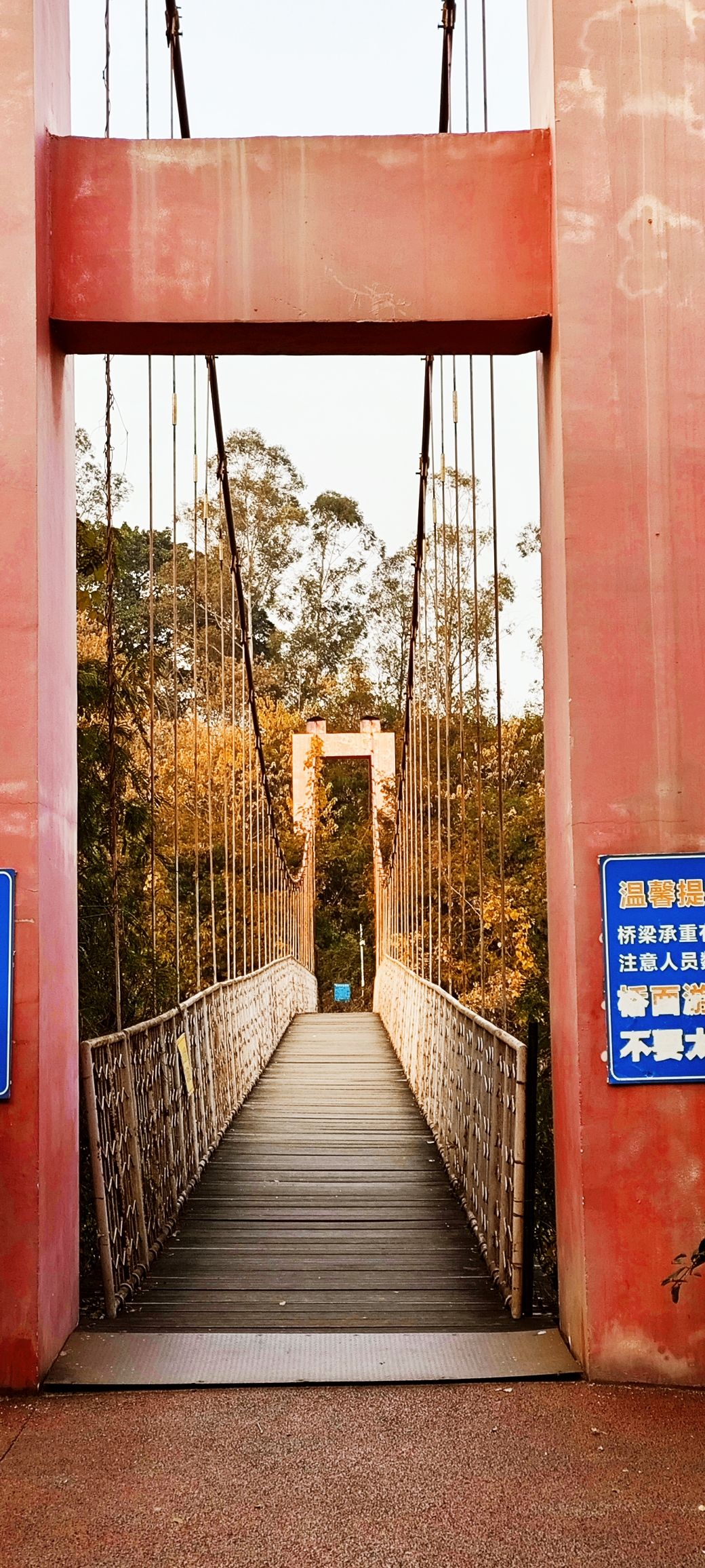 索桥旅行图片 3