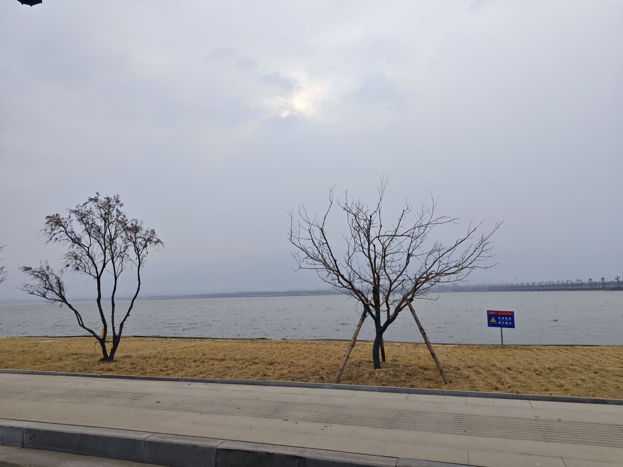 运城盐湖天鹅栖息地旅行图片 2