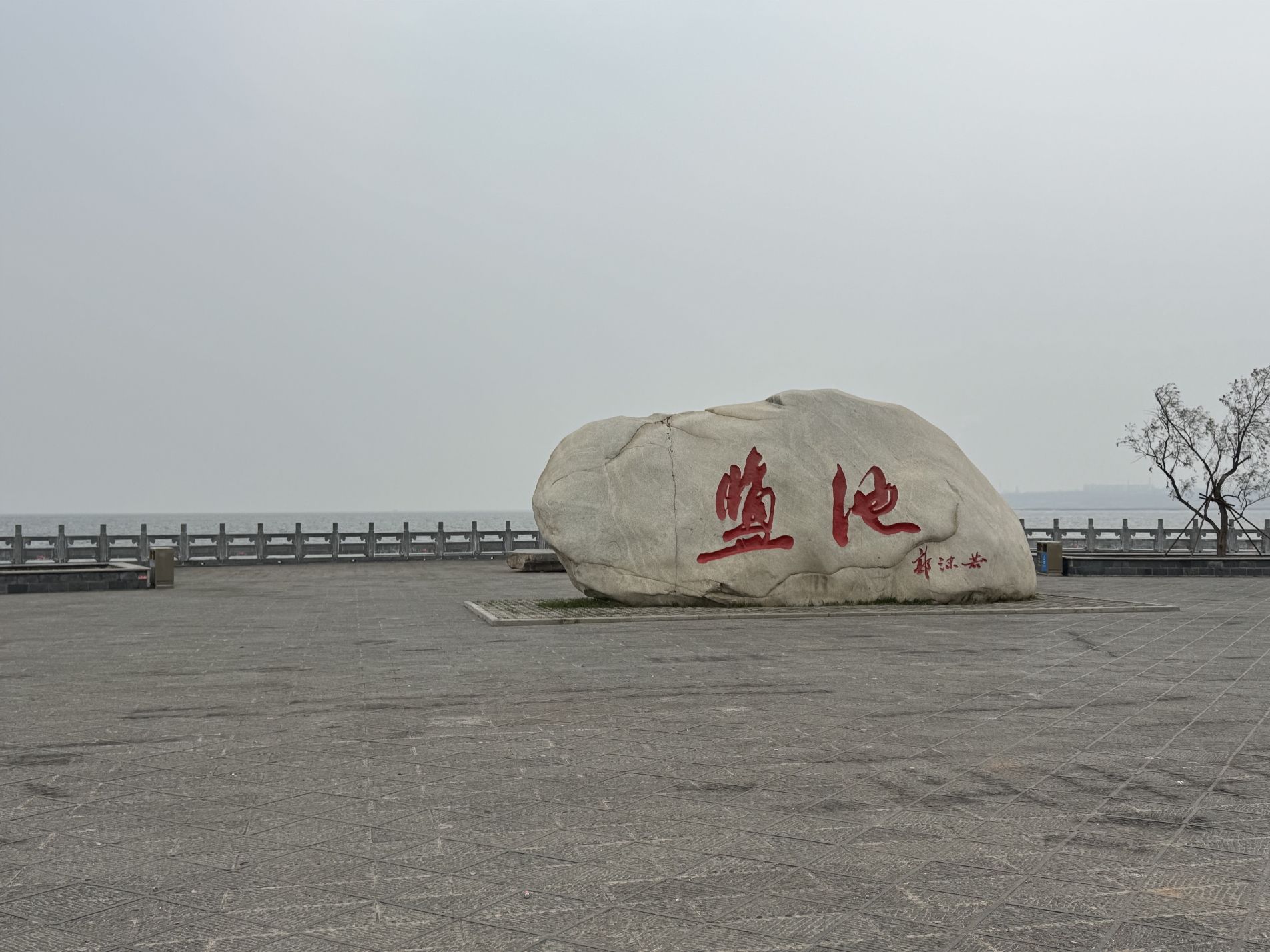 运城盐湖天鹅栖息地旅行图片 1