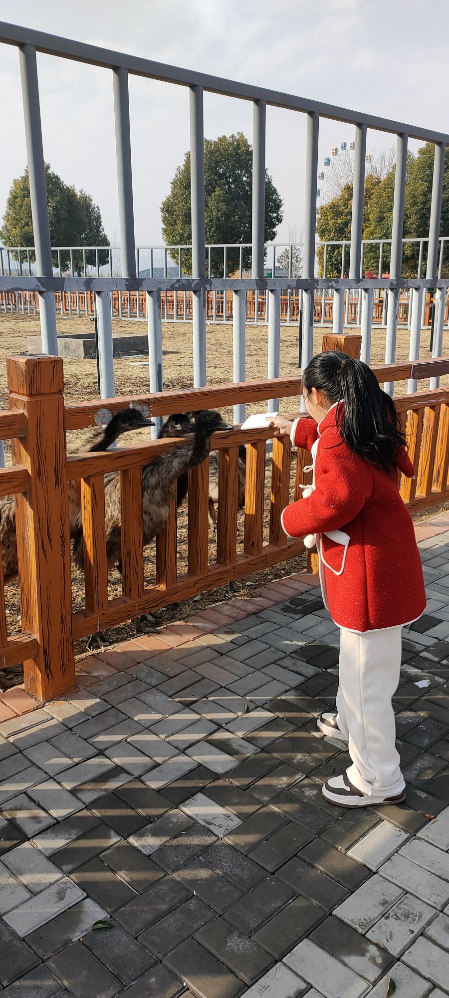 七彩童话动物王国旅行图片 3