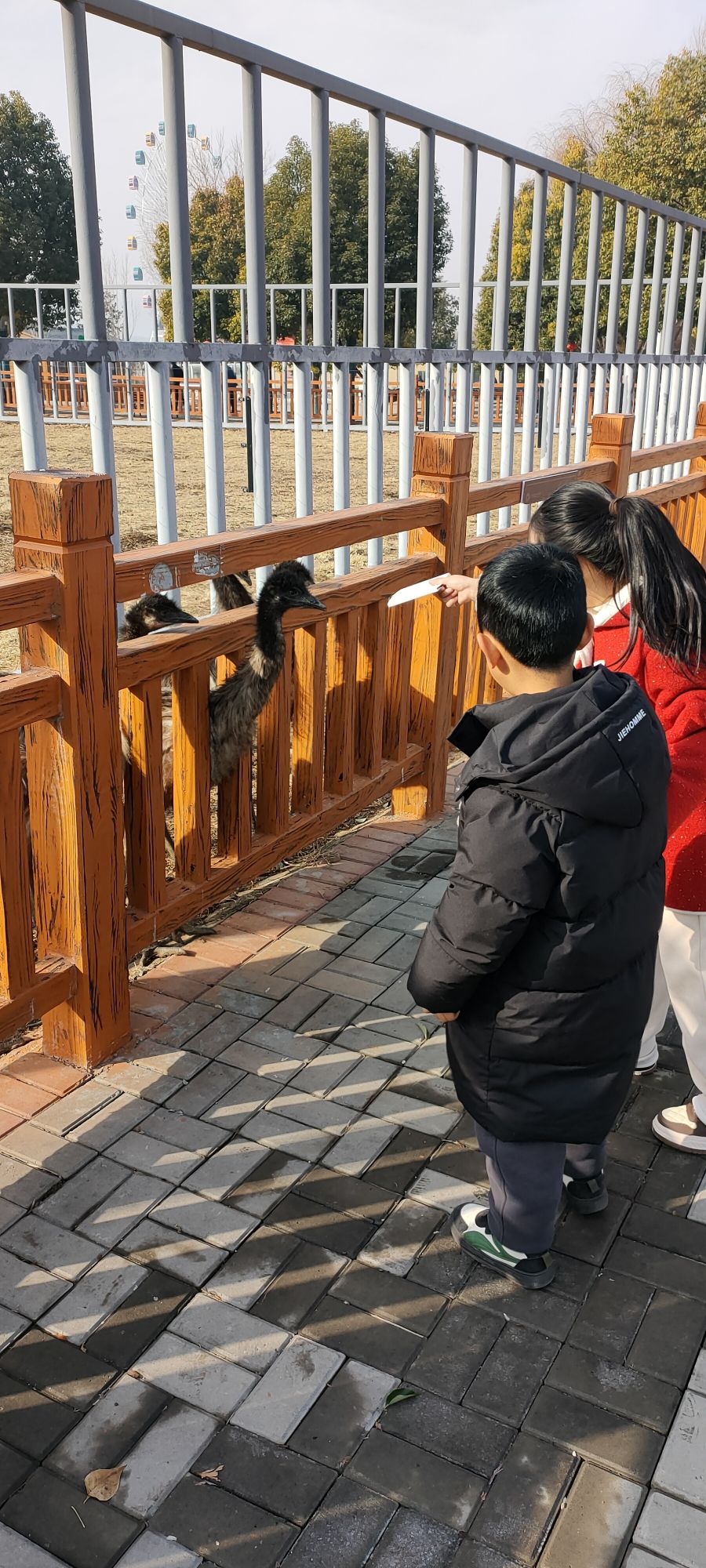 七彩童话动物王国旅行图片 2