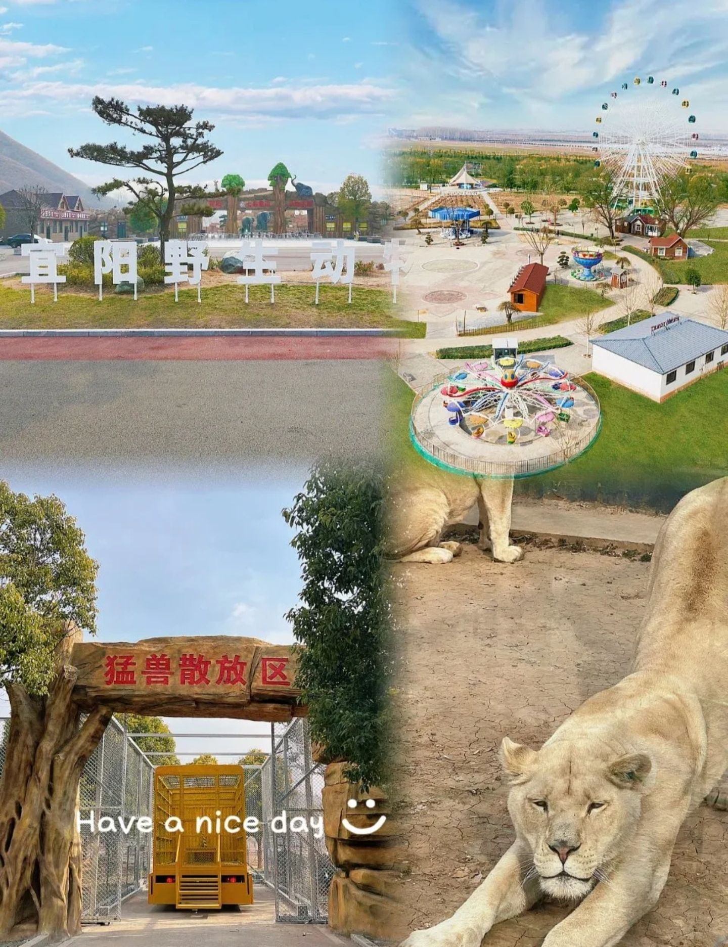 七彩童话动物王国旅行图片 2