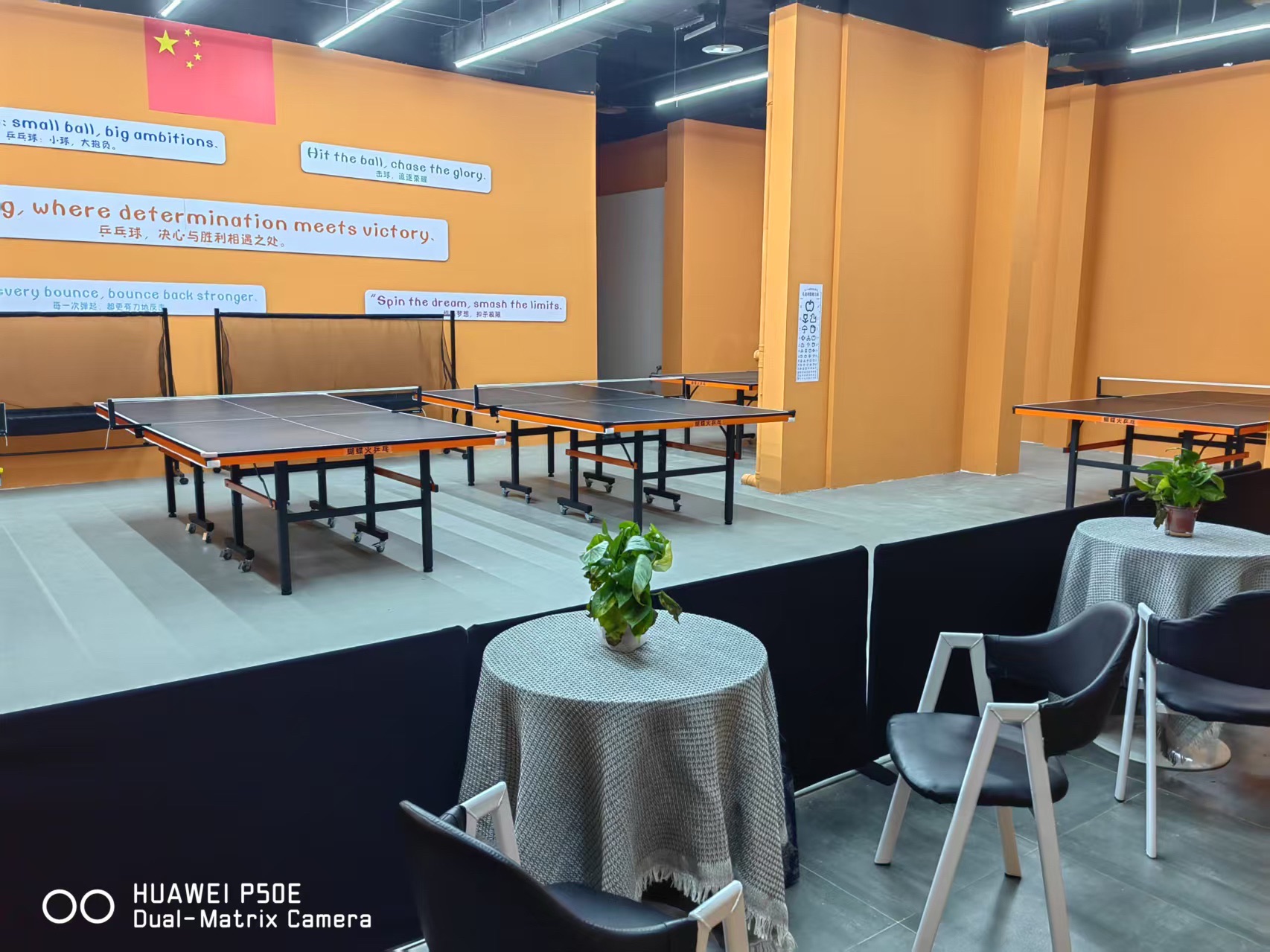 场地封面-蝴蝶火乒乓