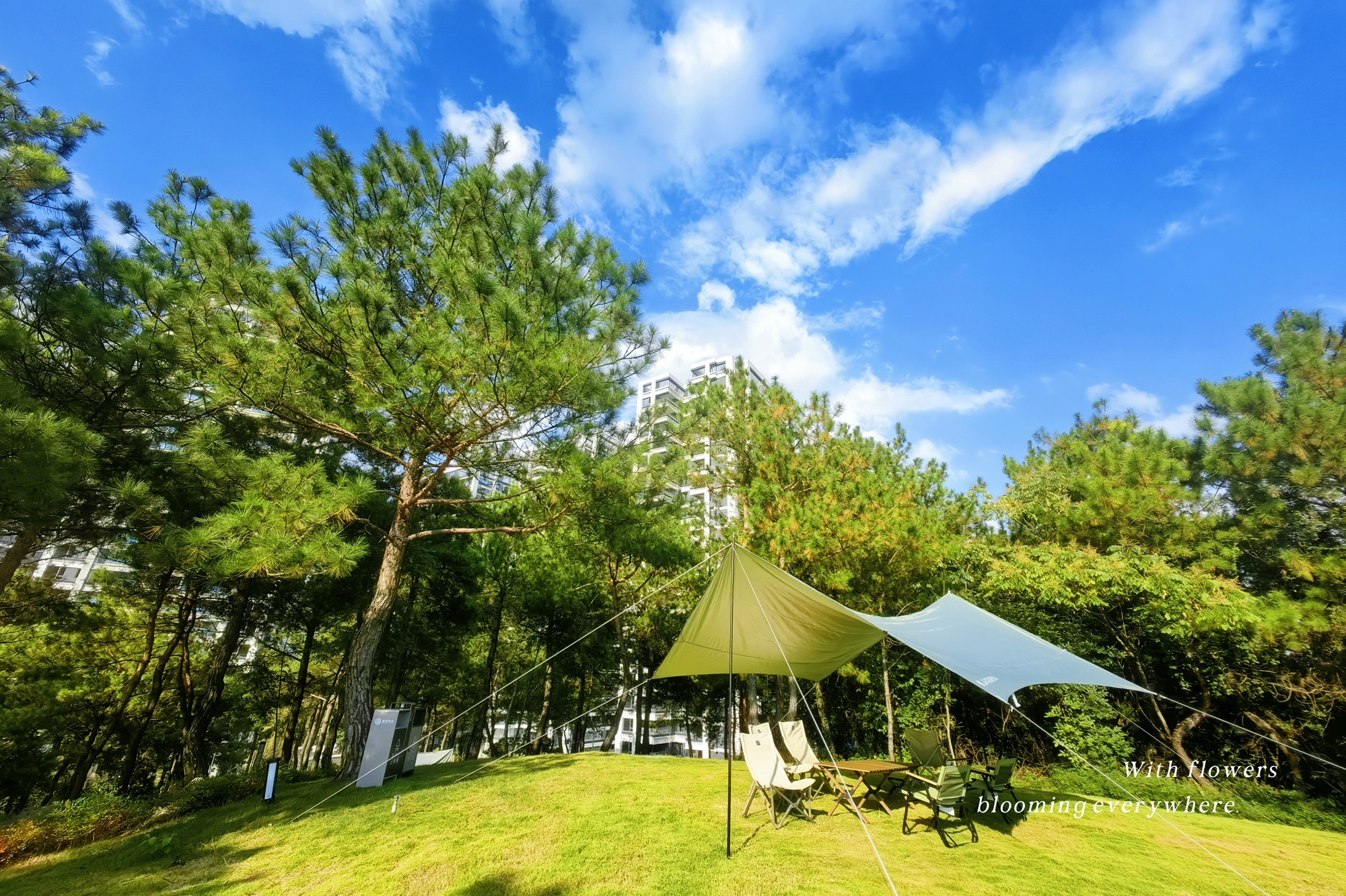 轻松山公园旅行图片 2