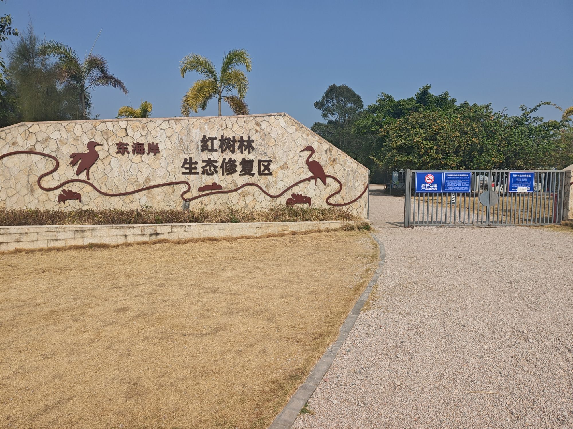 东海岸红树林生态修复区旅行图片 1