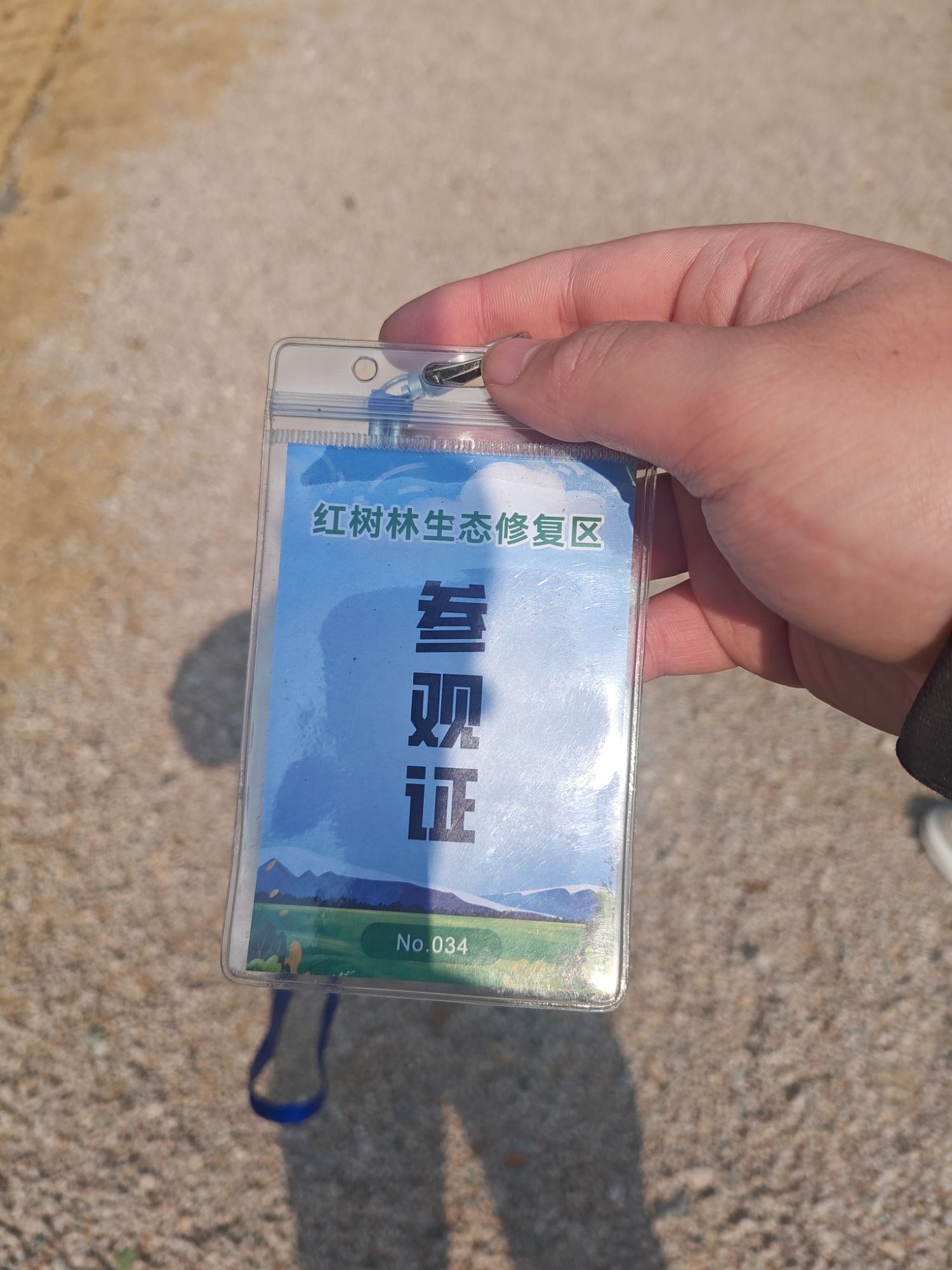 东海岸红树林生态修复区旅行图片 2