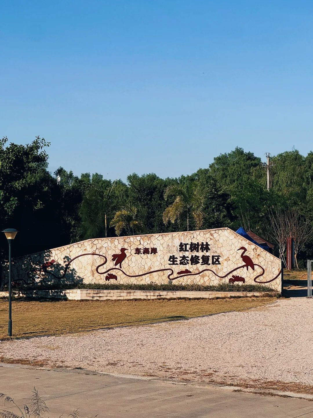 东海岸红树林生态修复区旅行图片 3