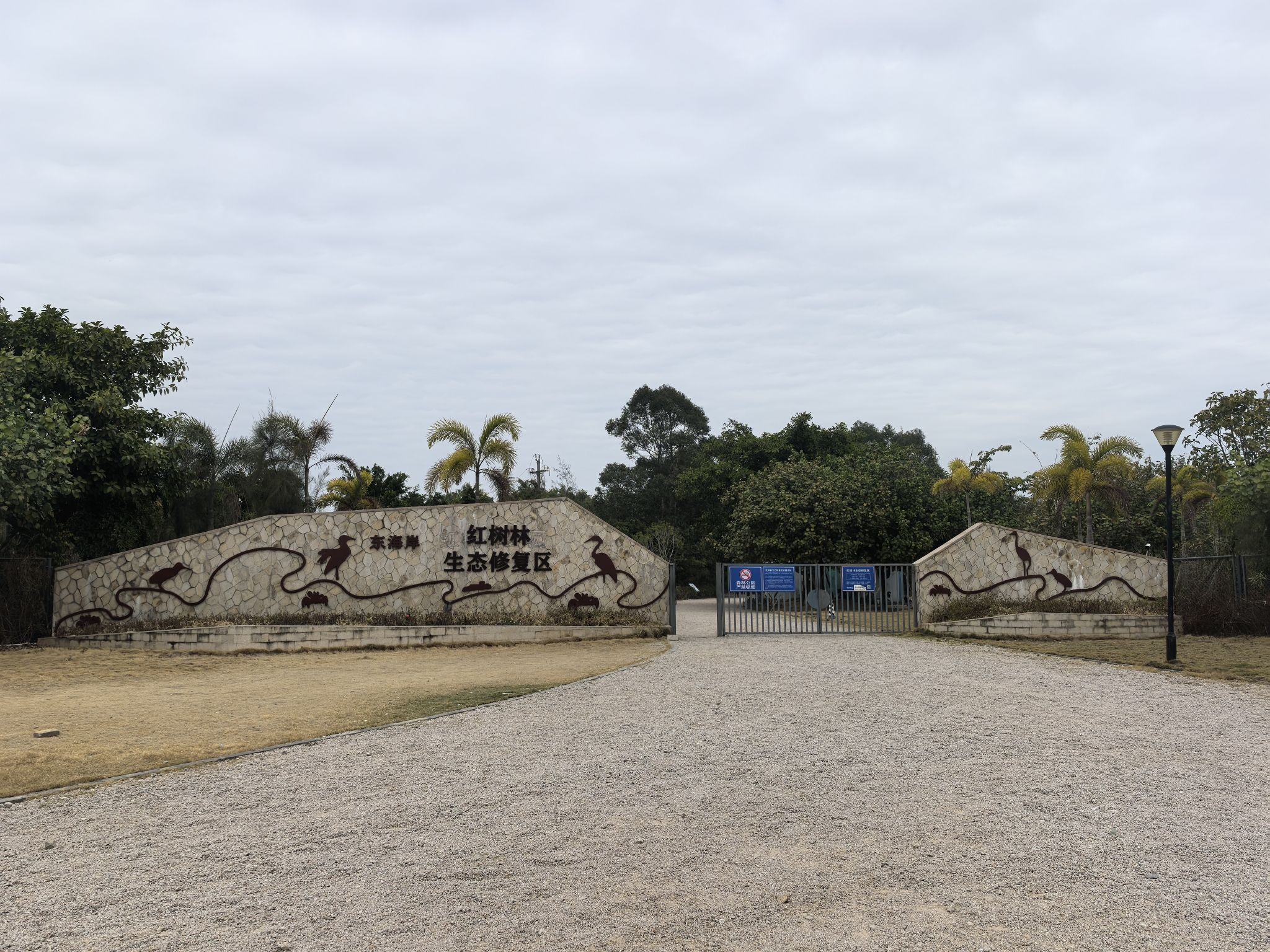 东海岸红树林生态修复区旅行图片 1