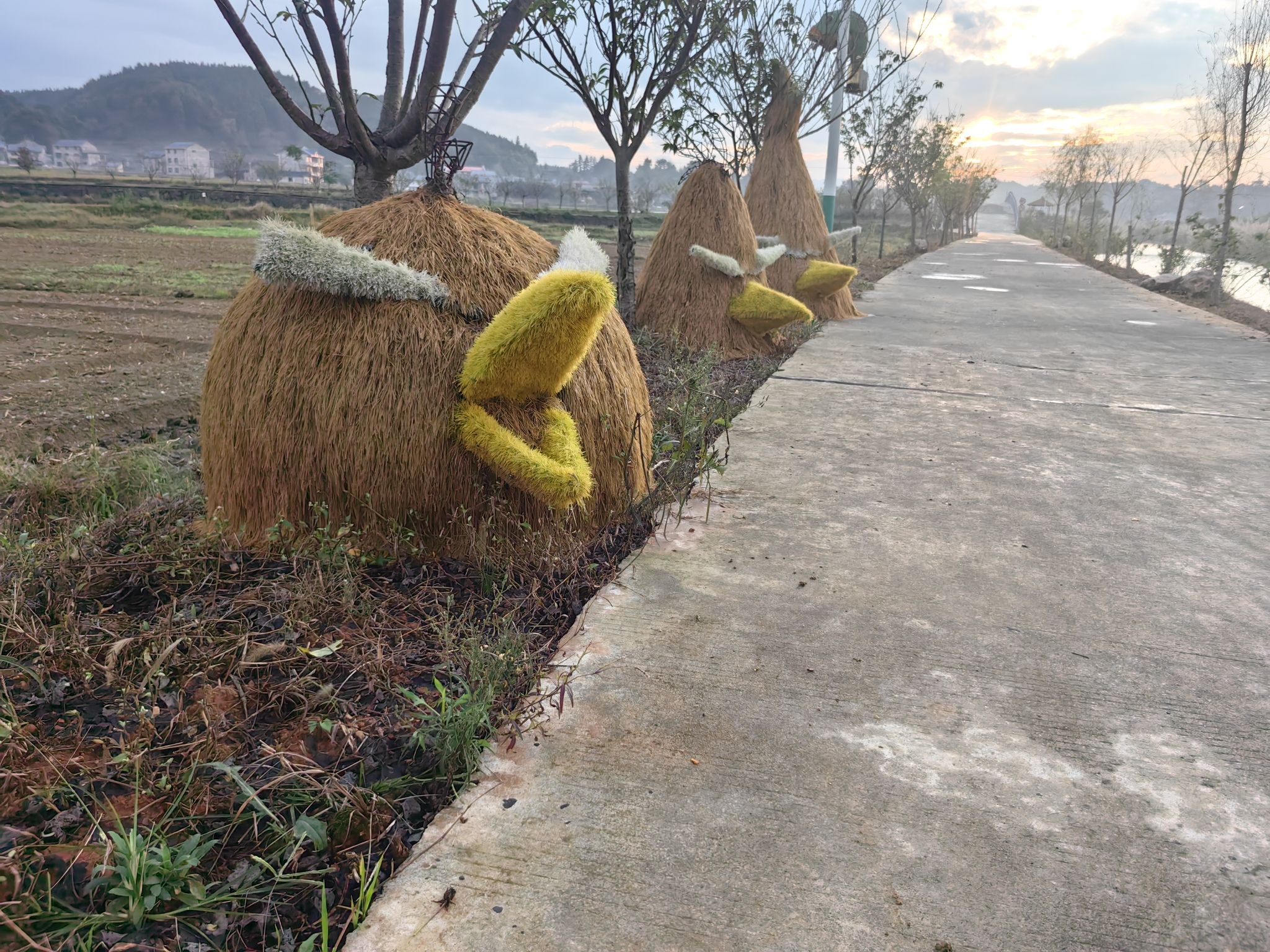 会同稻香诗田景区旅行图片 1