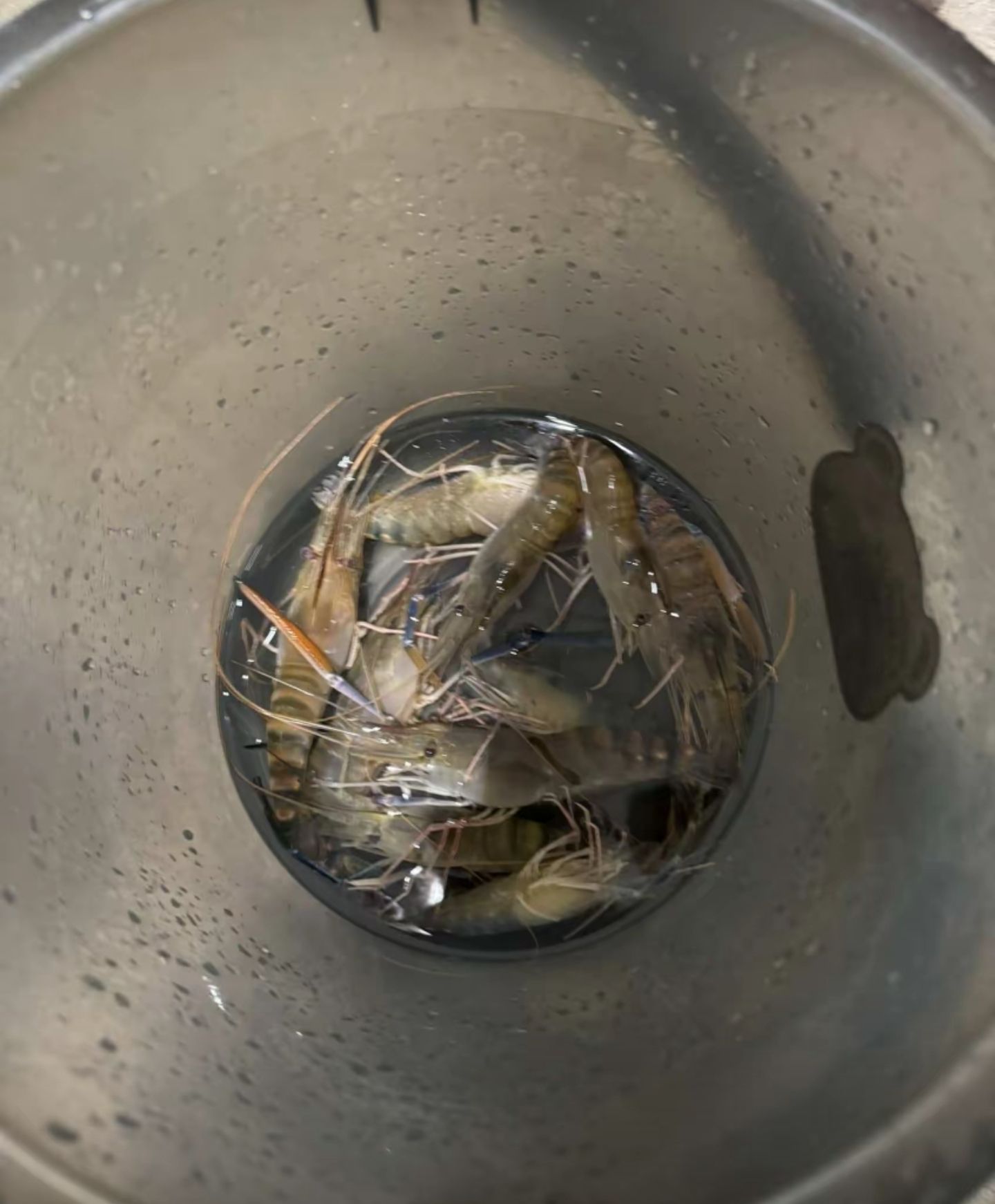 虾路相逢钓虾场