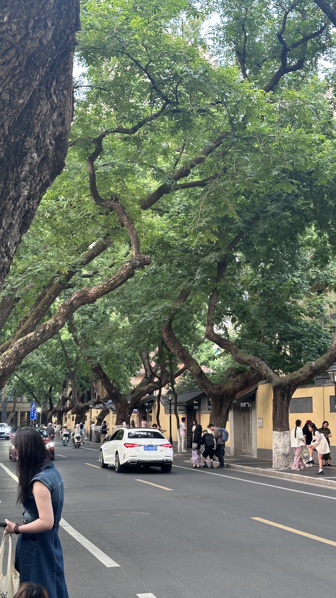 颐和路12号民国建筑旅行图片 2