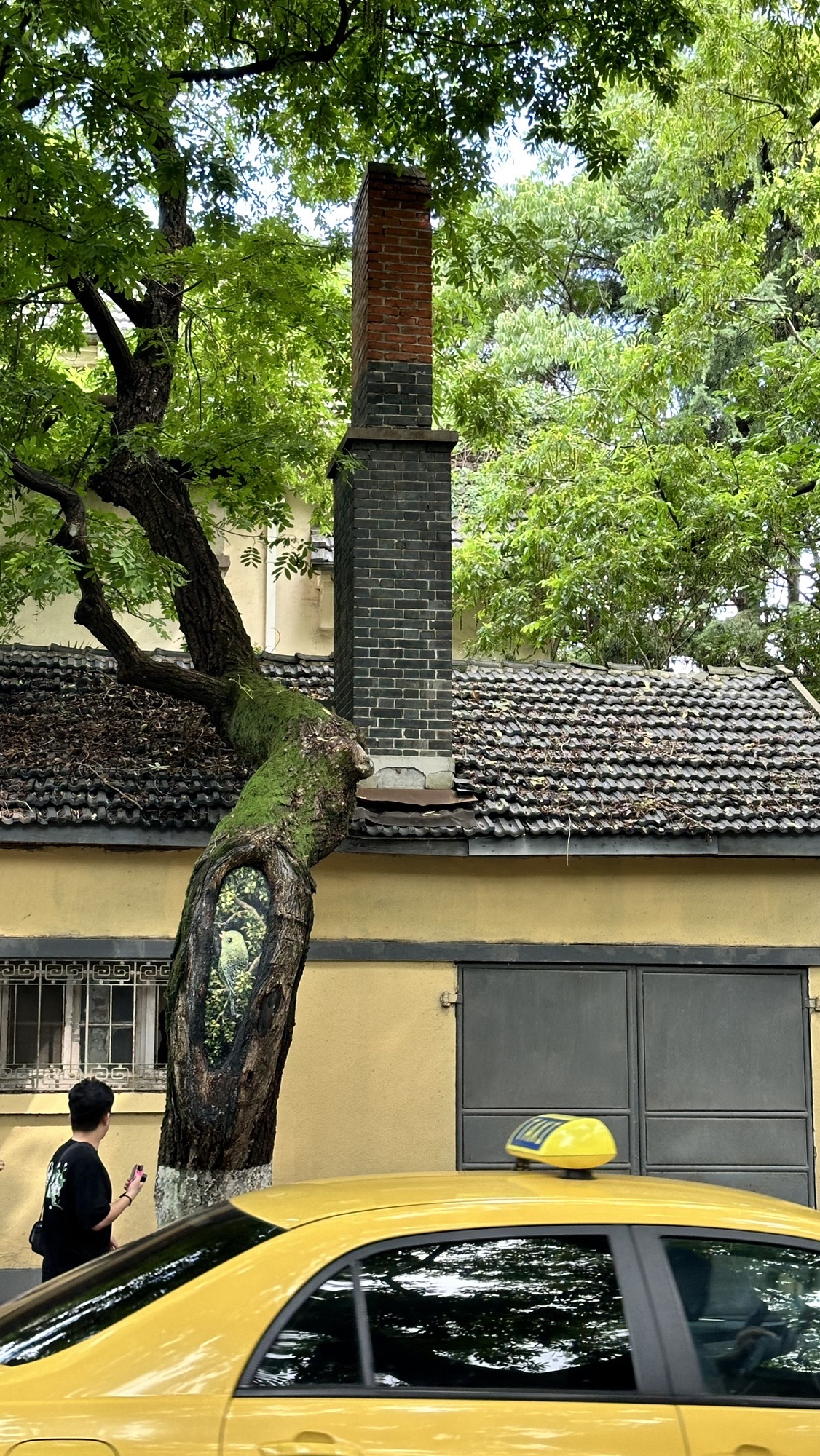 颐和路12号民国建筑旅行图片 2