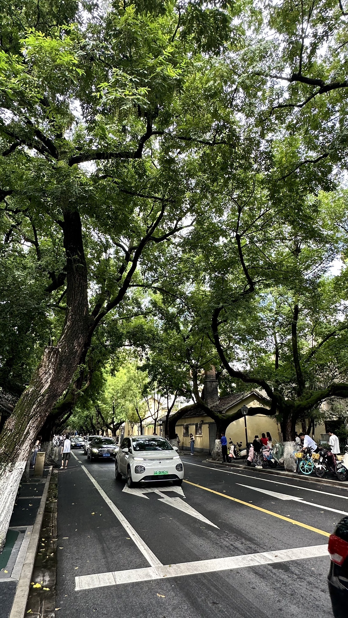 颐和路12号民国建筑旅行图片 1