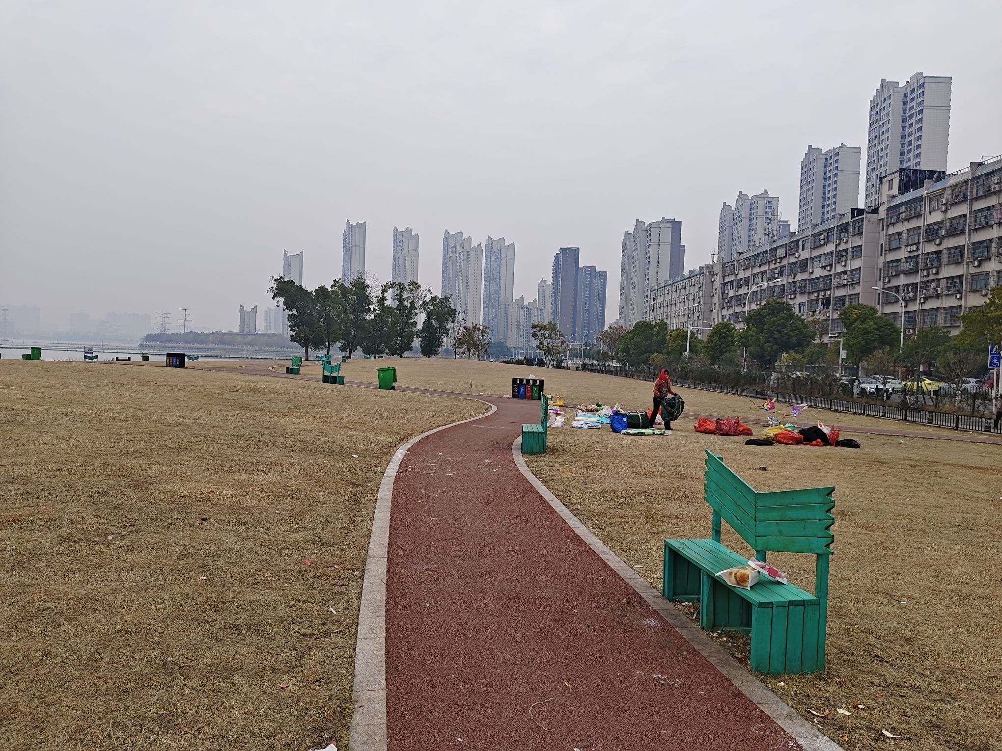 桂湖路公园旅行图片 1