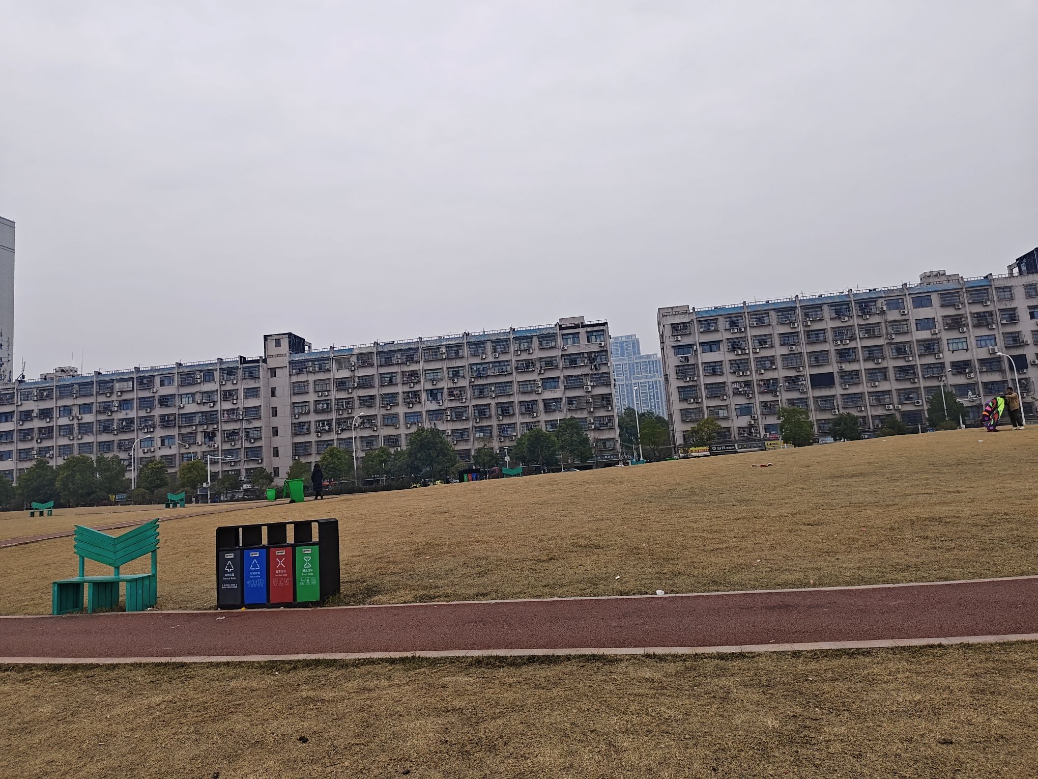桂湖路公园旅行图片 2