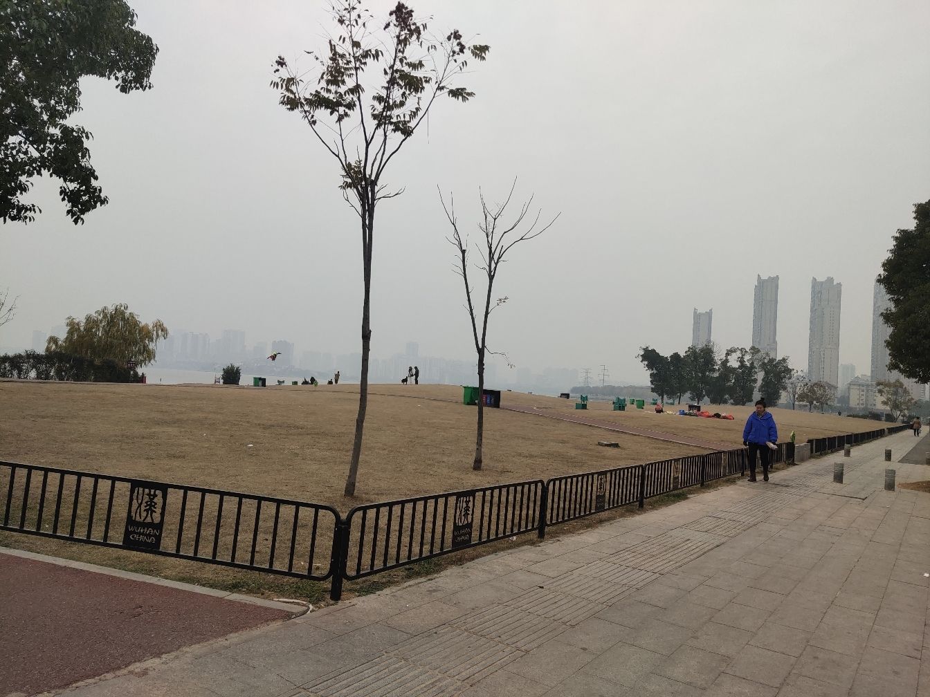 桂湖路公园旅行图片 3