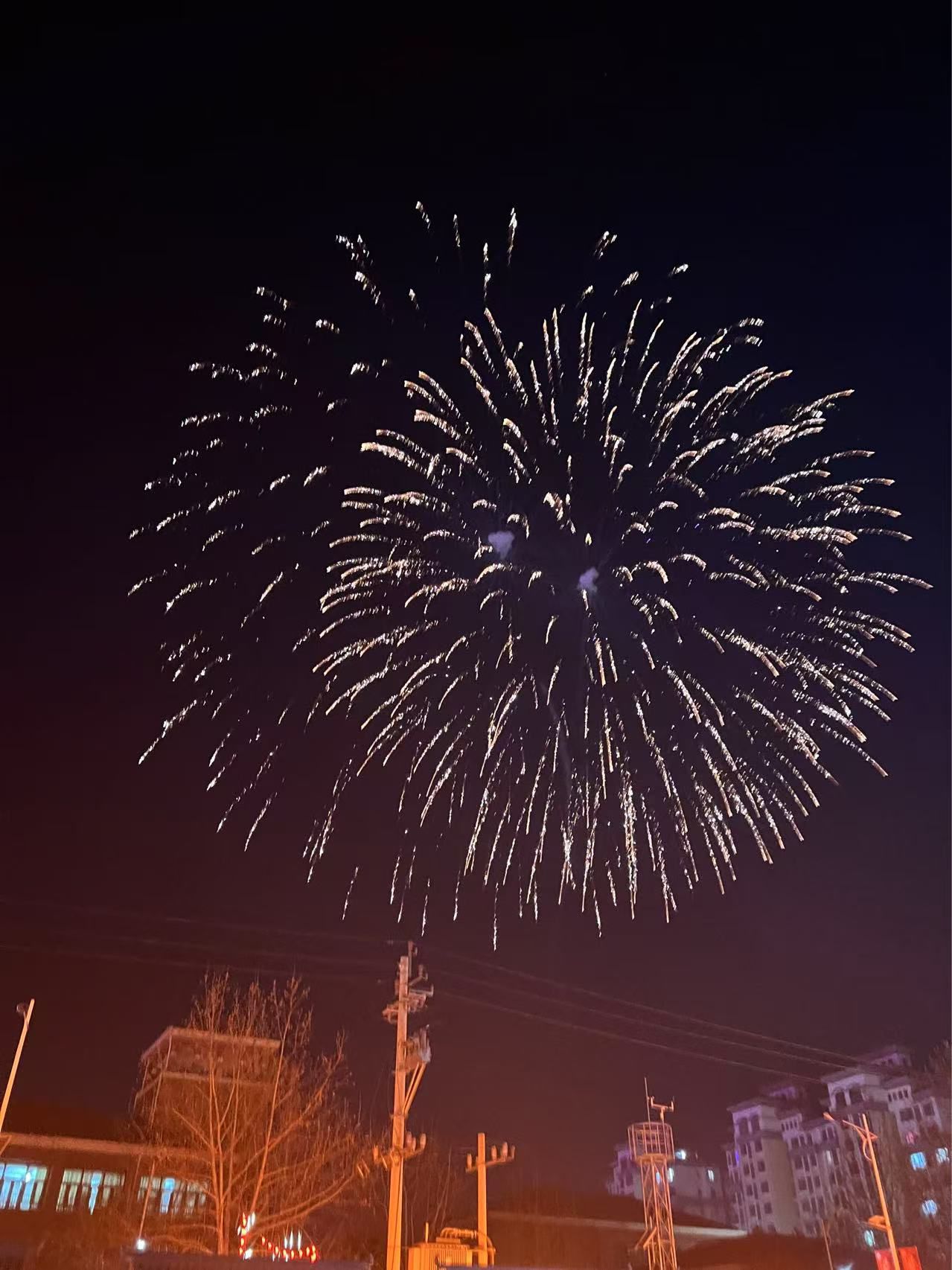 运河不夜城旅行图片 3