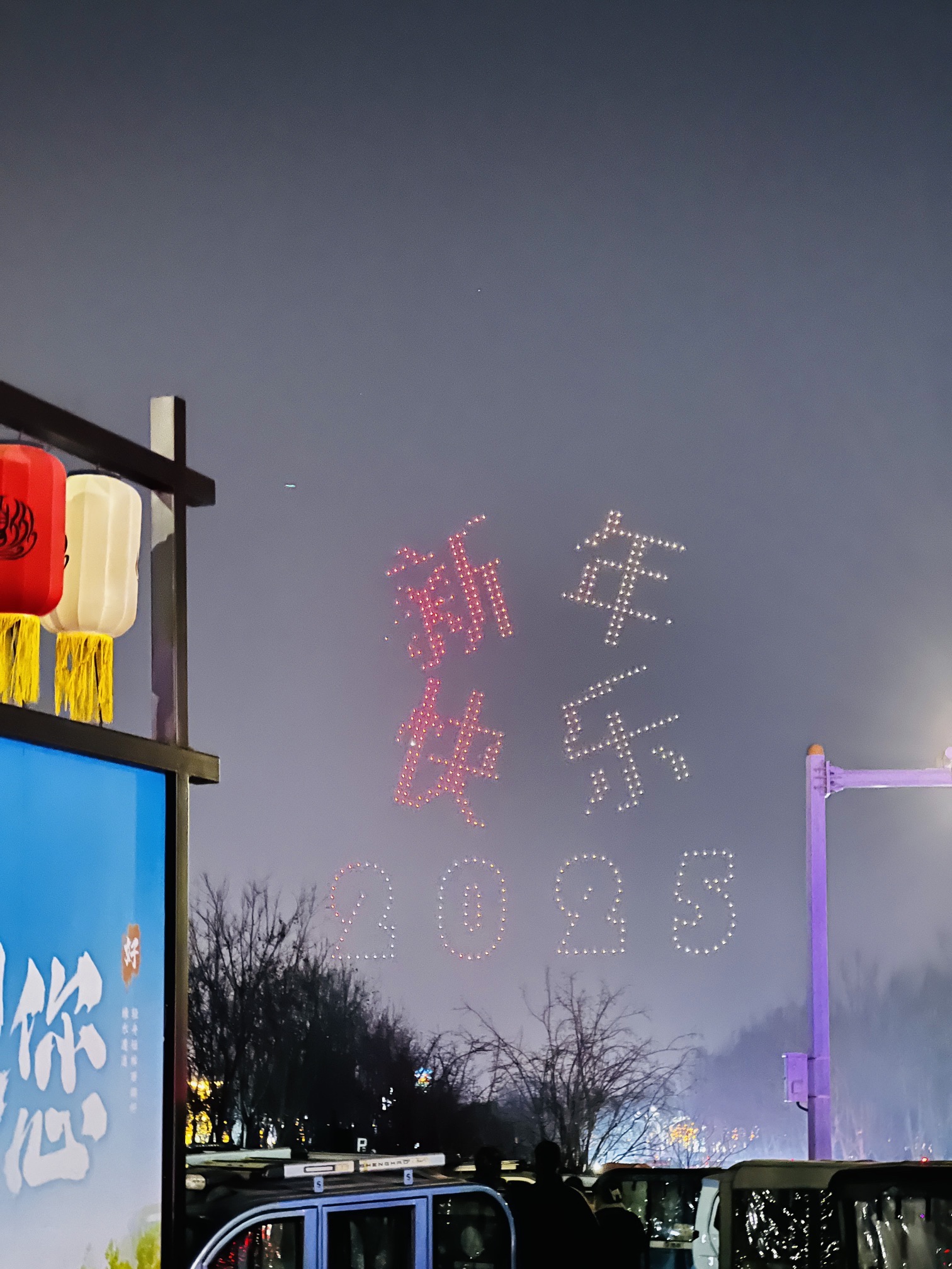 2025颍州西湖首届新春灯会旅行图片 2