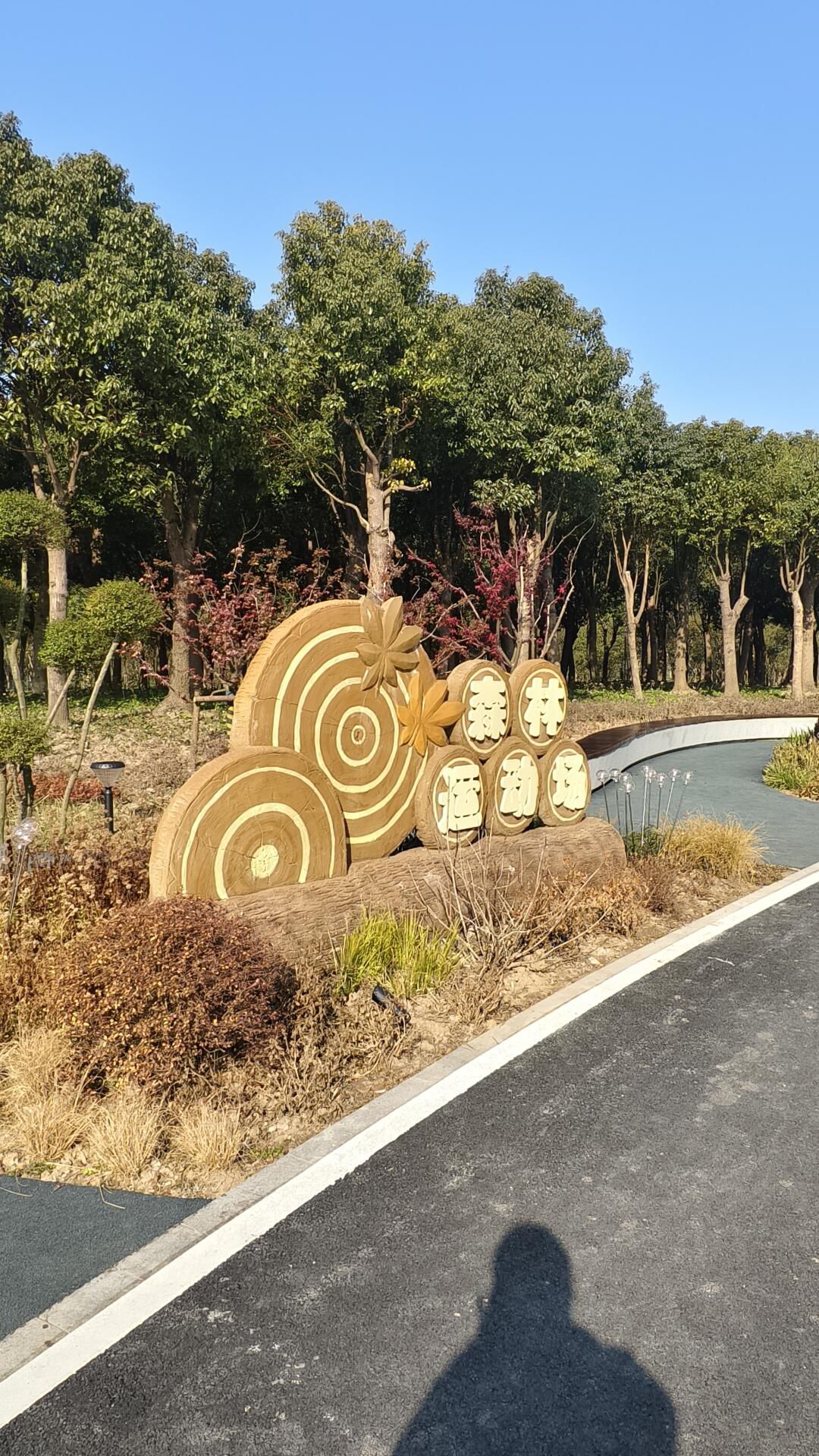 孙桥公园旅行图片 3