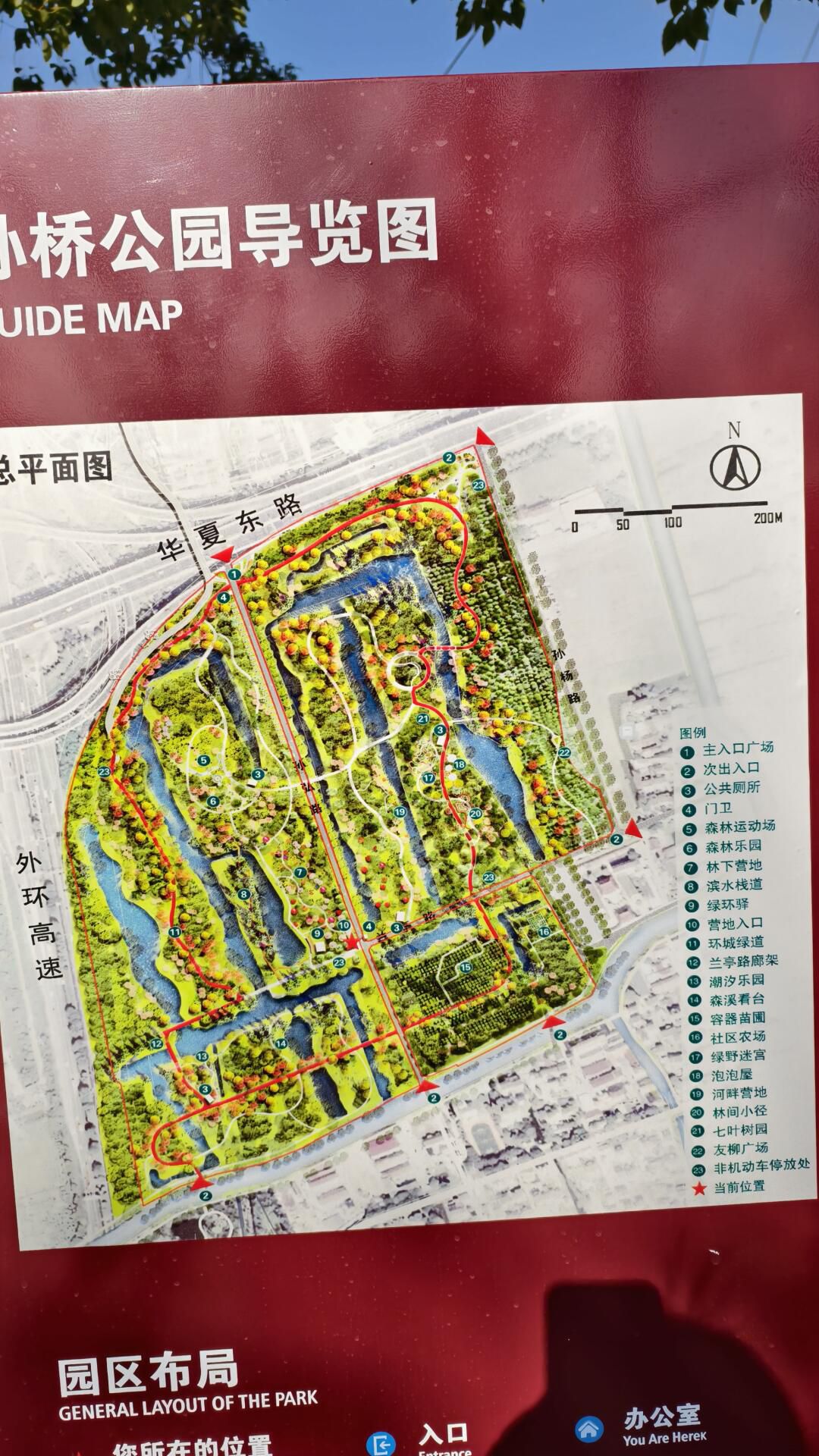 孙桥公园旅行图片 2