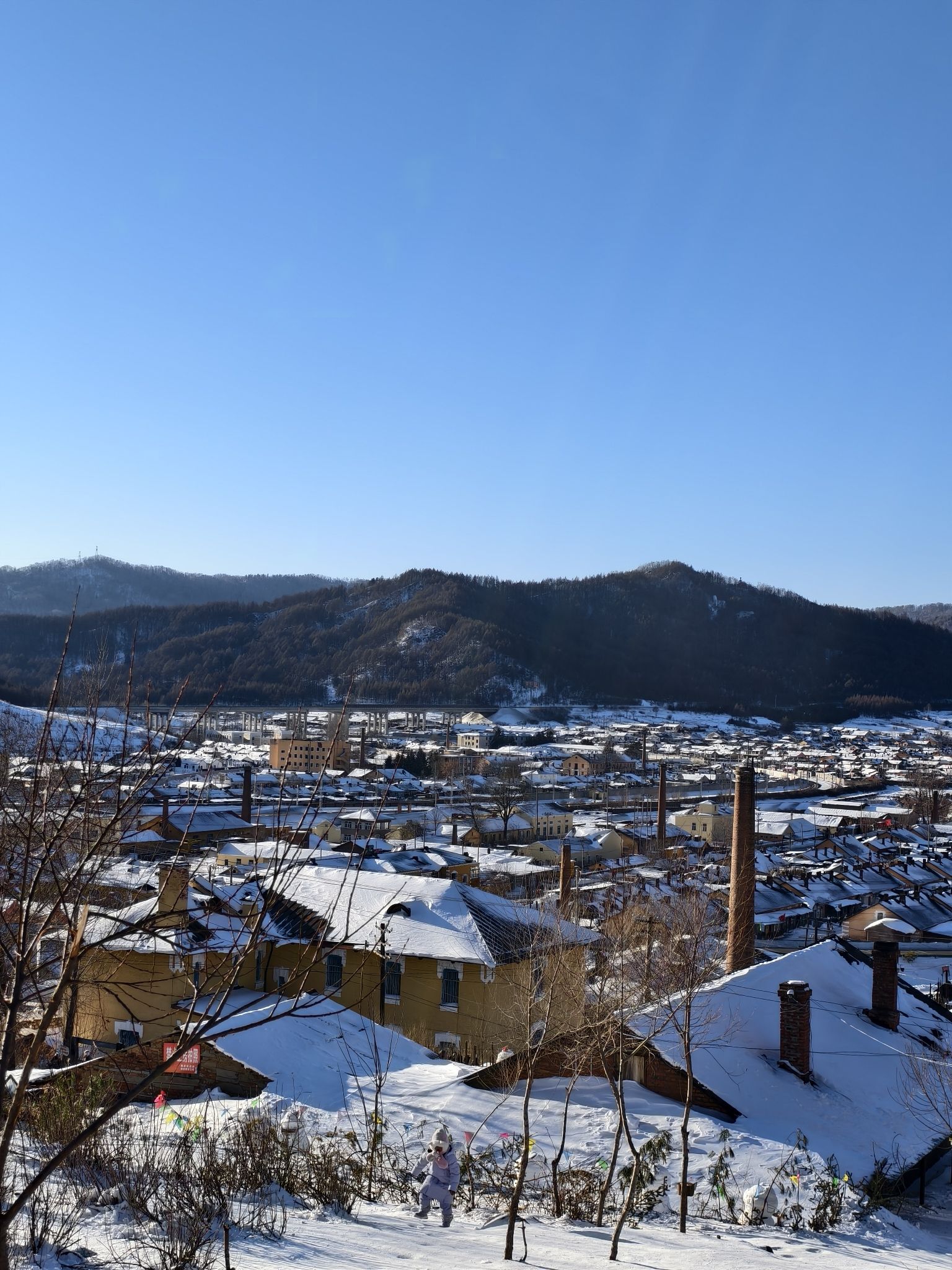 半山坡网红打卡地旅行图片 3