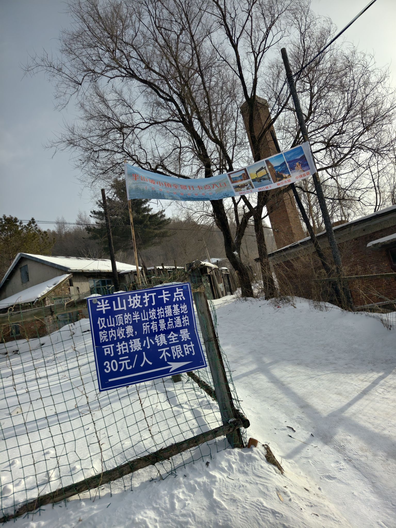 半山坡网红打卡地旅行图片 1