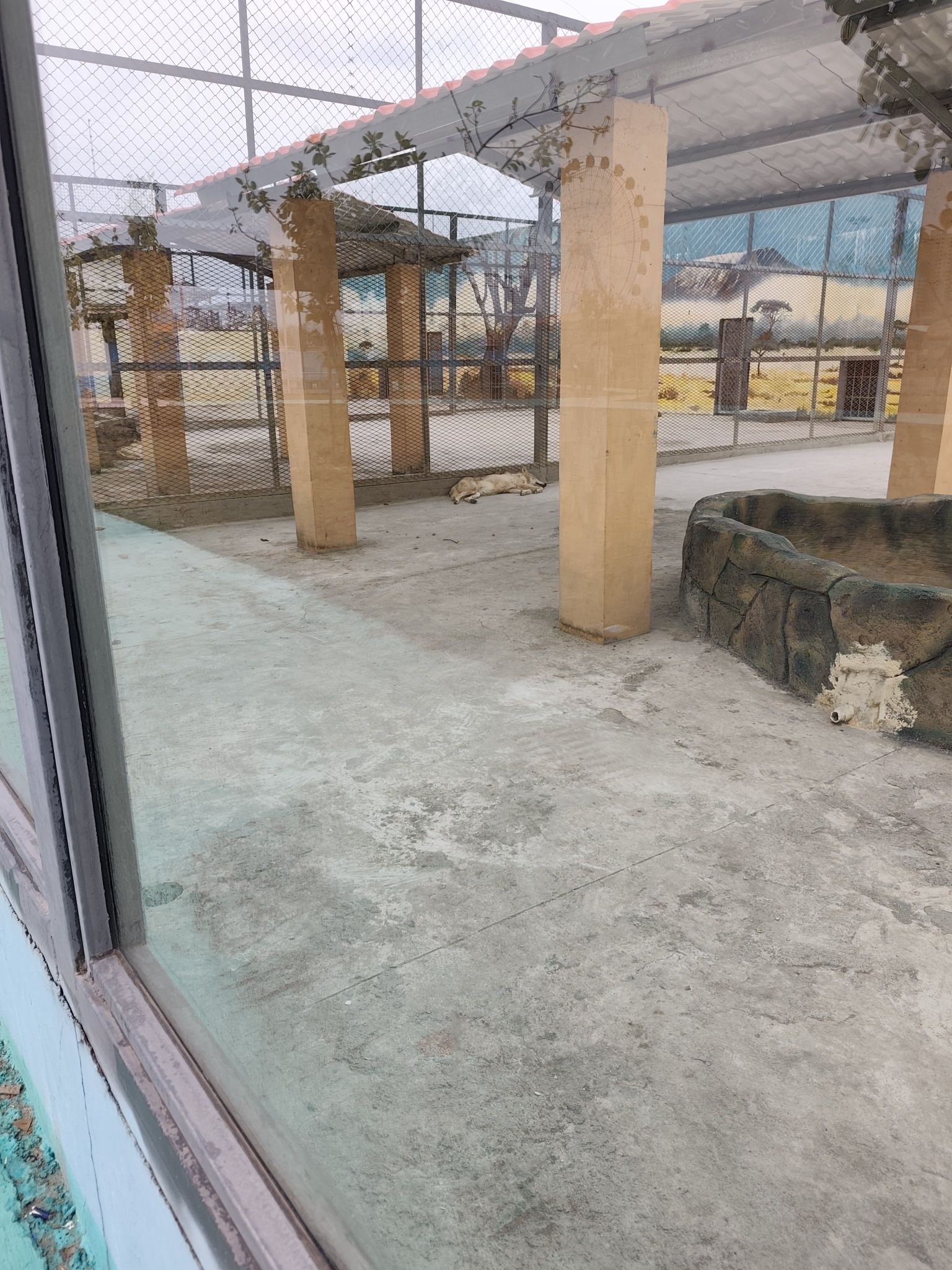 玉林动物园旅行图片 2