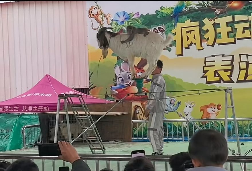 玉林动物园旅行图片 1
