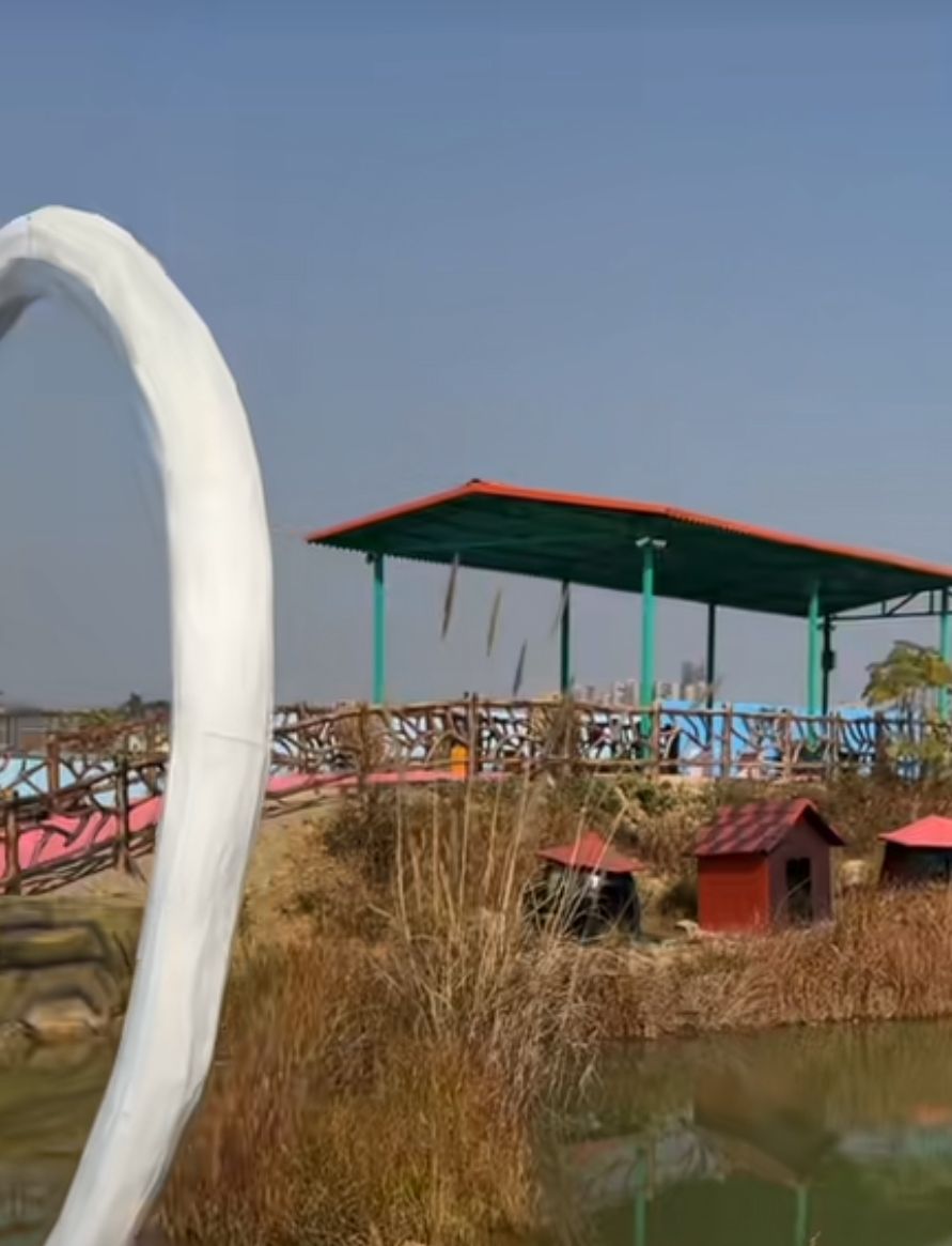 玉林动物园旅行图片 3