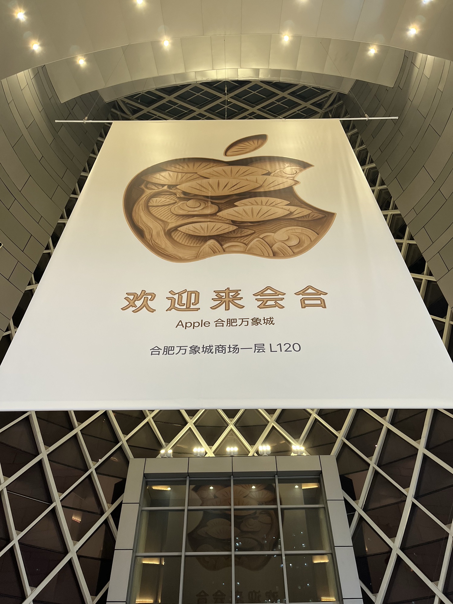 Apple 合肥万象城