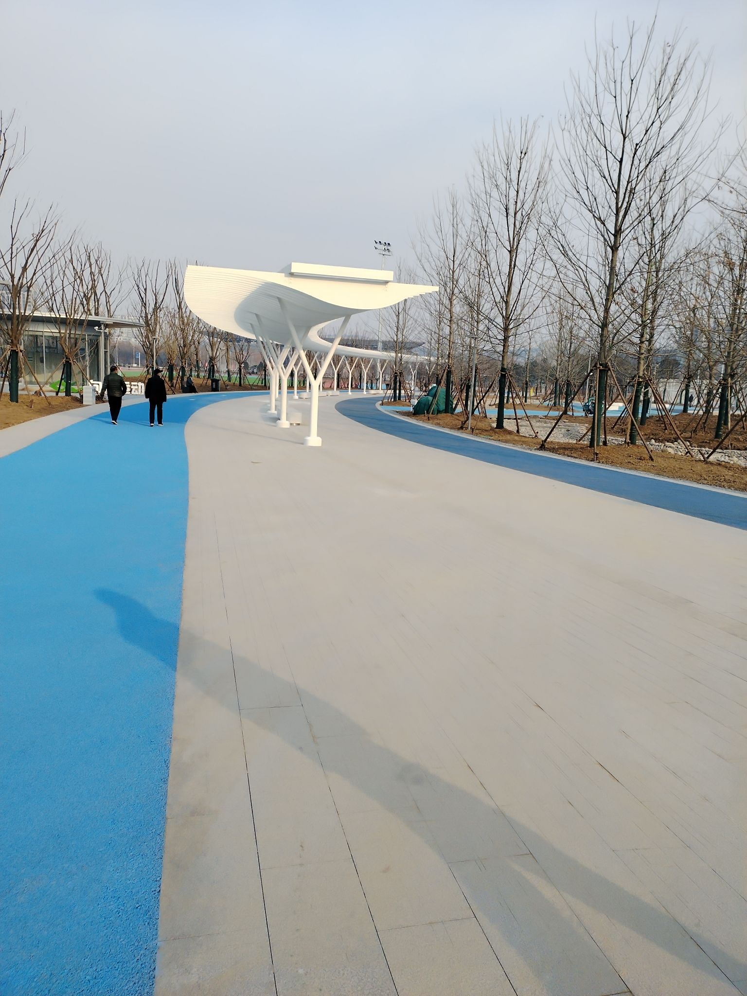 邹平市奥体公园旅行图片 3