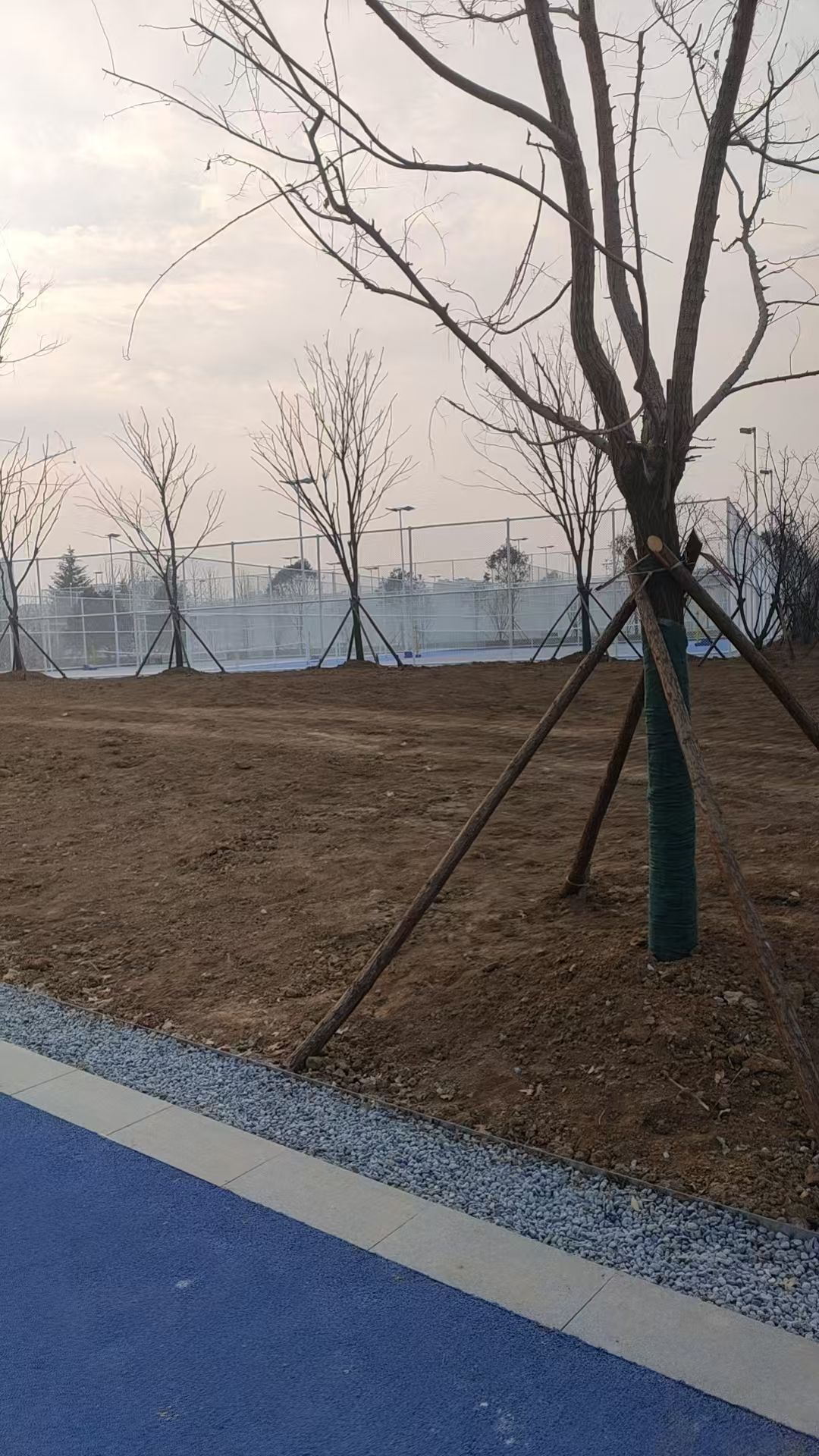 邹平市奥体公园旅行图片 2