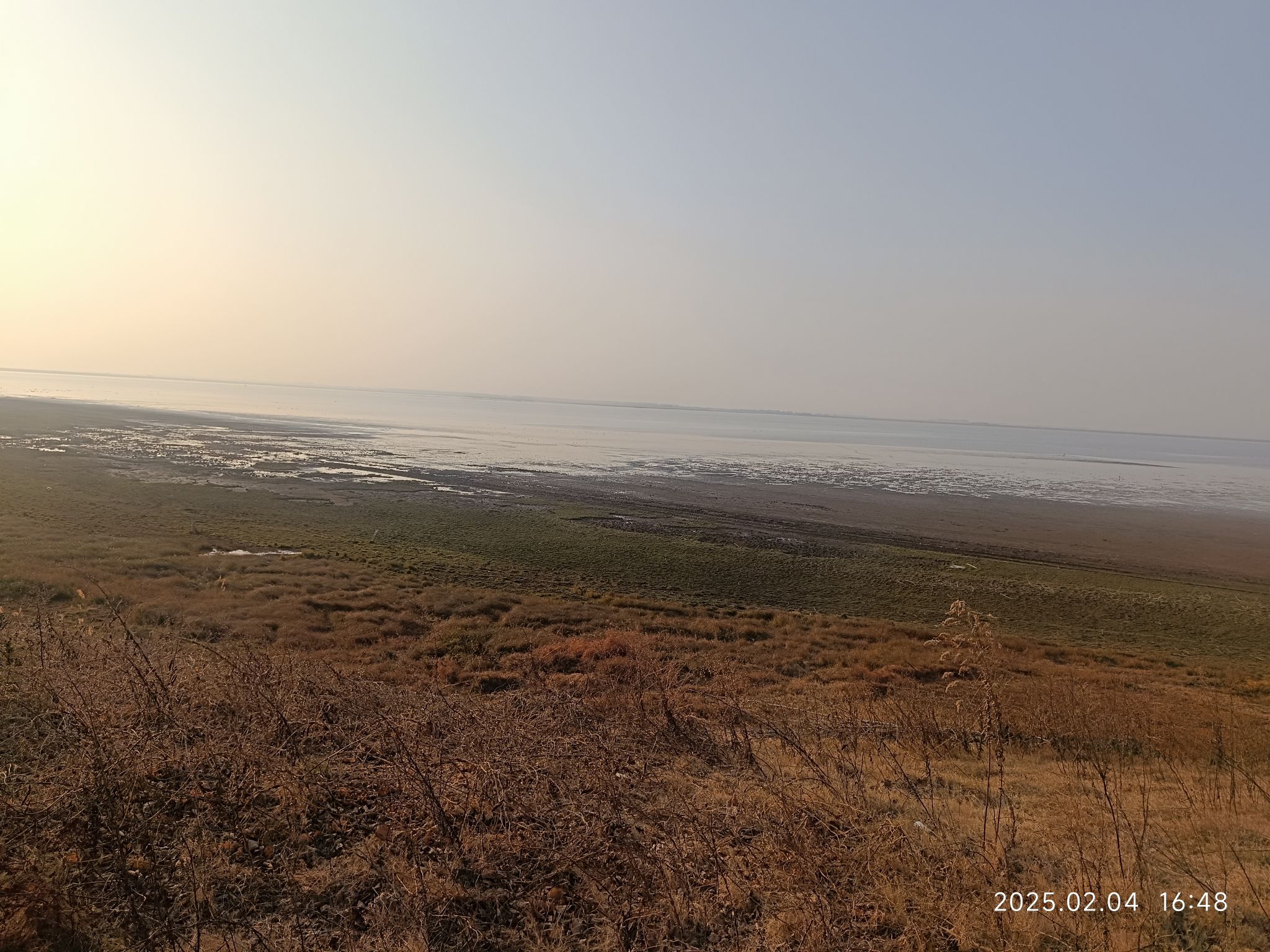 鄱阳湖国际湿地候鸟馆旅行图片 1
