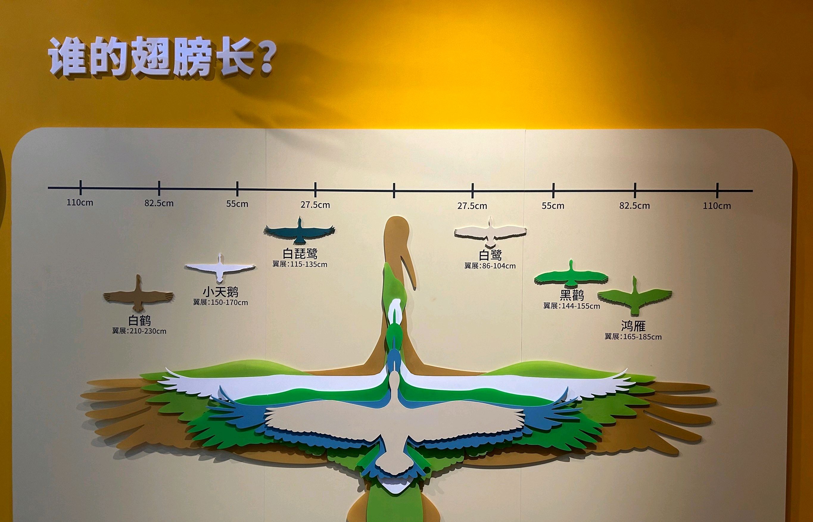 鄱阳湖国际湿地候鸟馆旅行图片 3