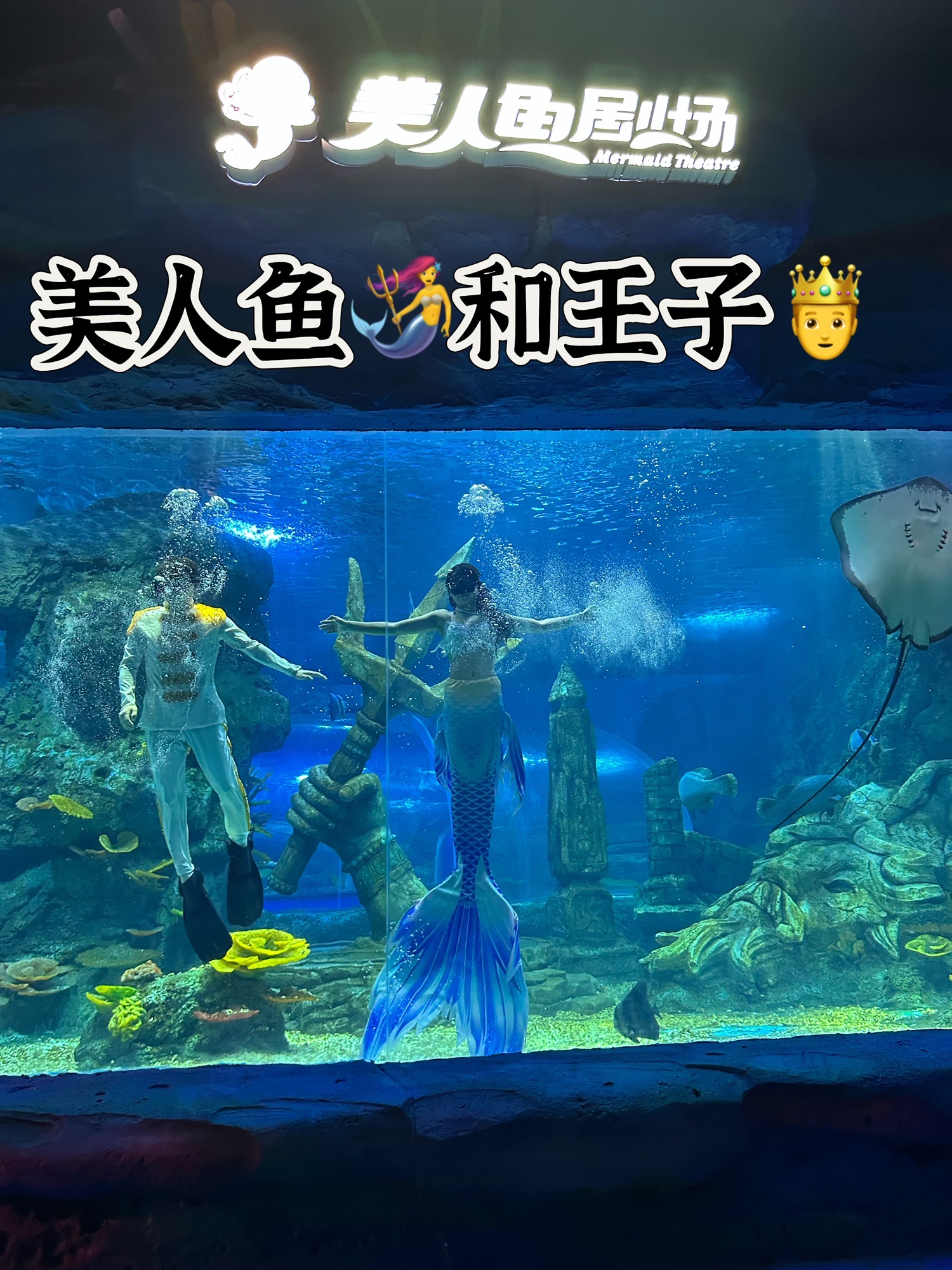 下沙奥特莱斯冰雪海洋世界旅行图片 1