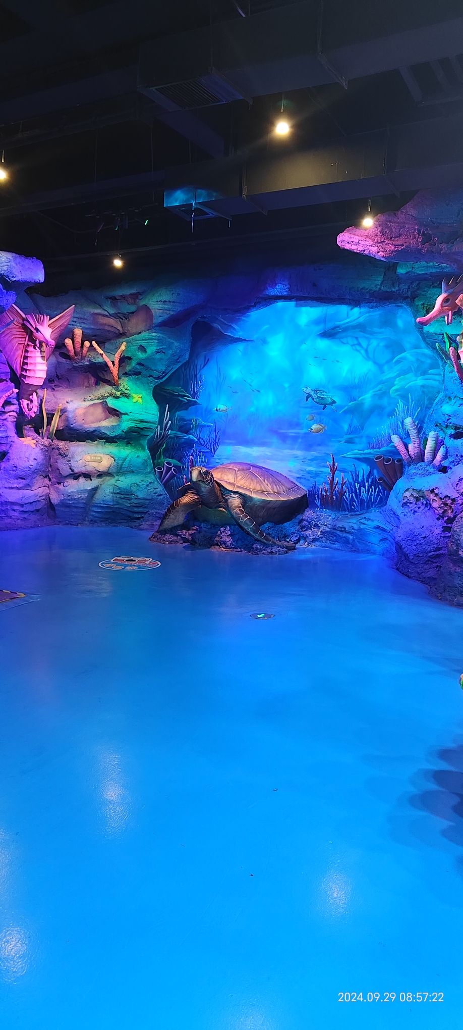 下沙奥特莱斯冰雪海洋世界旅行图片 3