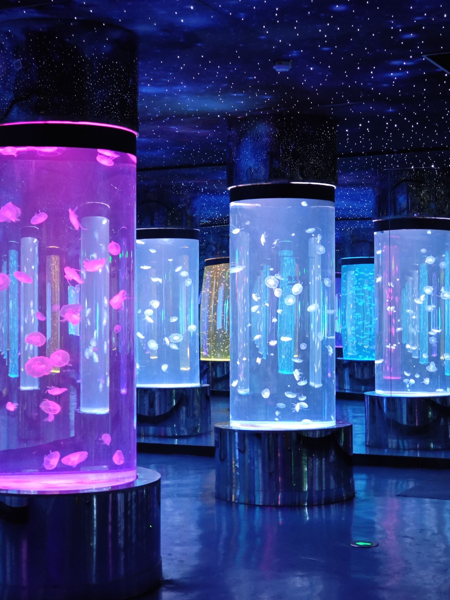 下沙奥特莱斯冰雪海洋世界旅行图片 2