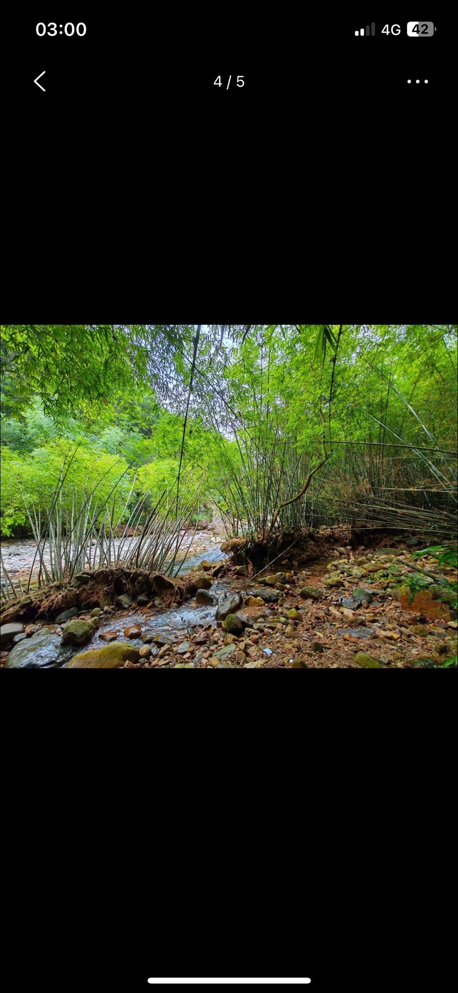 蓝心谷旅行图片 2