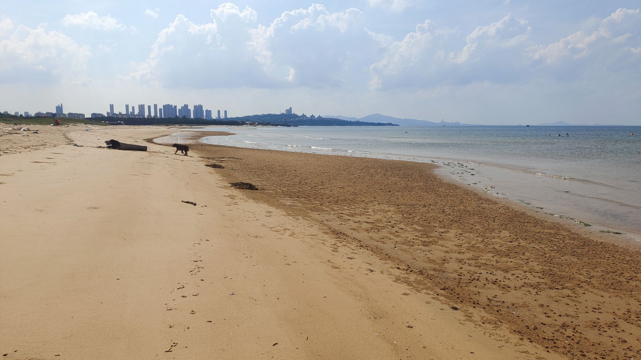 金海湾海水浴场旅行图片 2