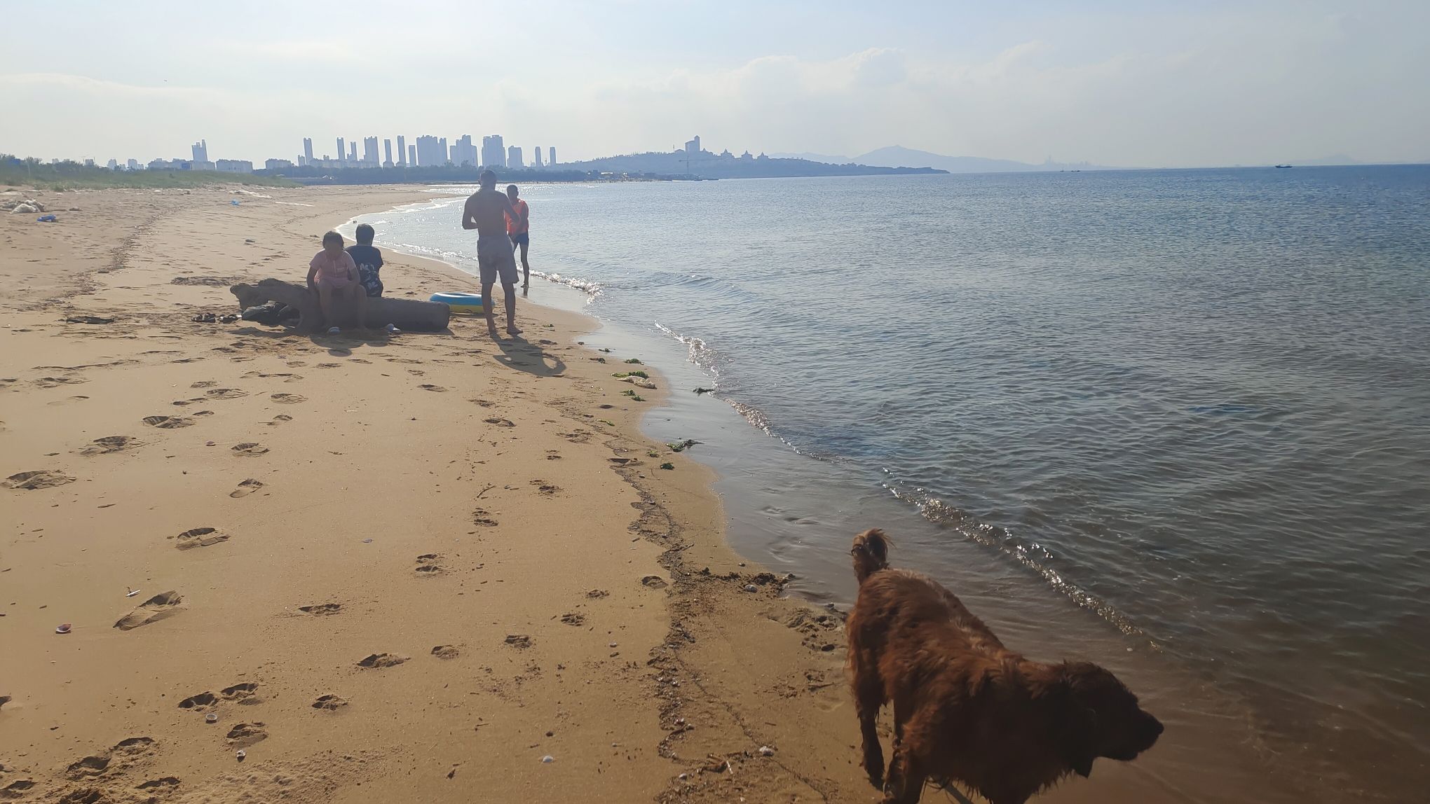金海湾海水浴场旅行图片 1