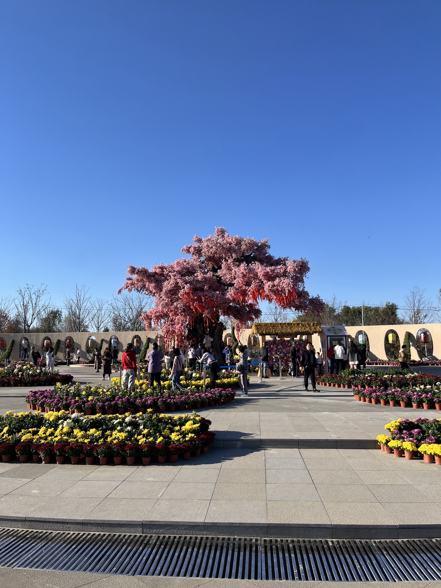 辽源市动植物园旅行图片 1