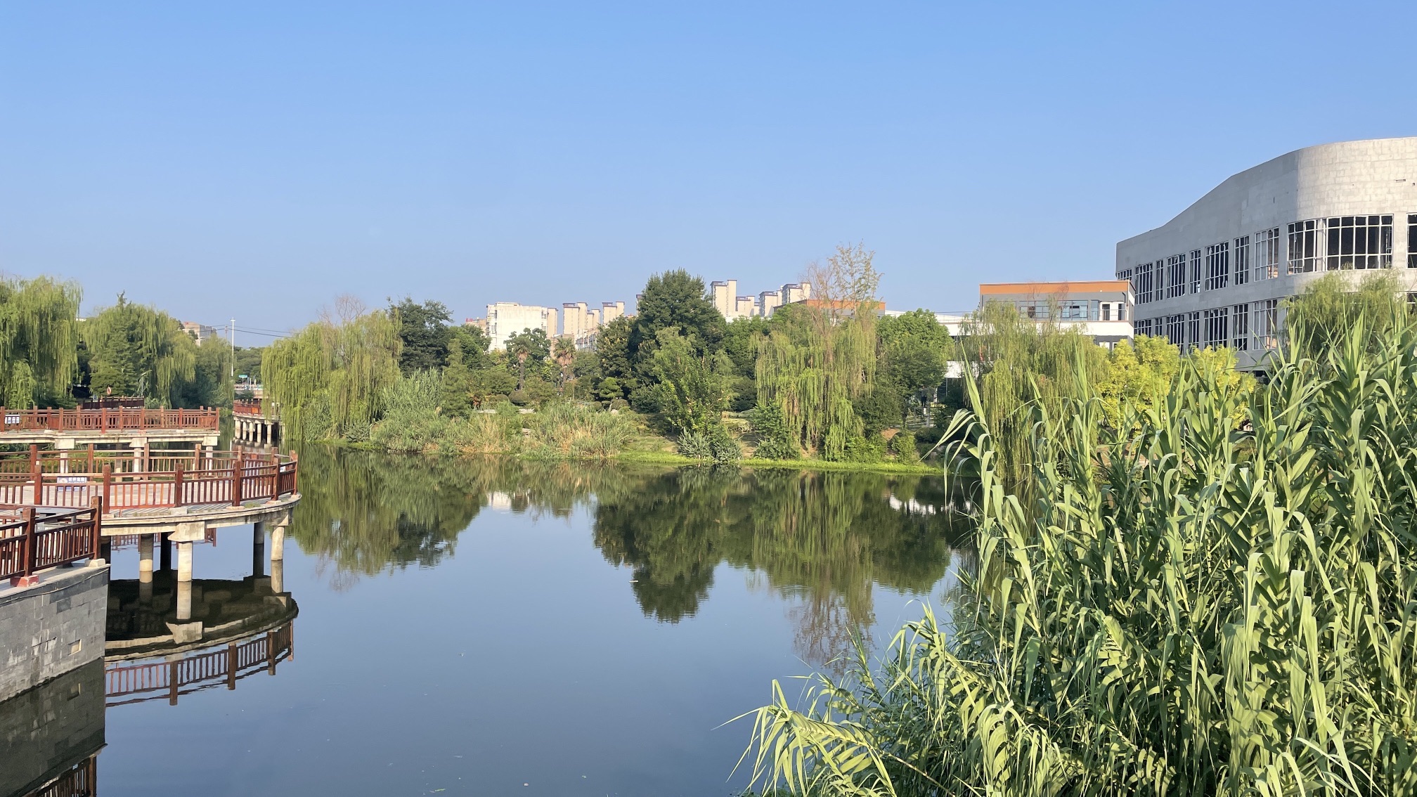 阜南解放社区高杆灯公园旅行图片 2