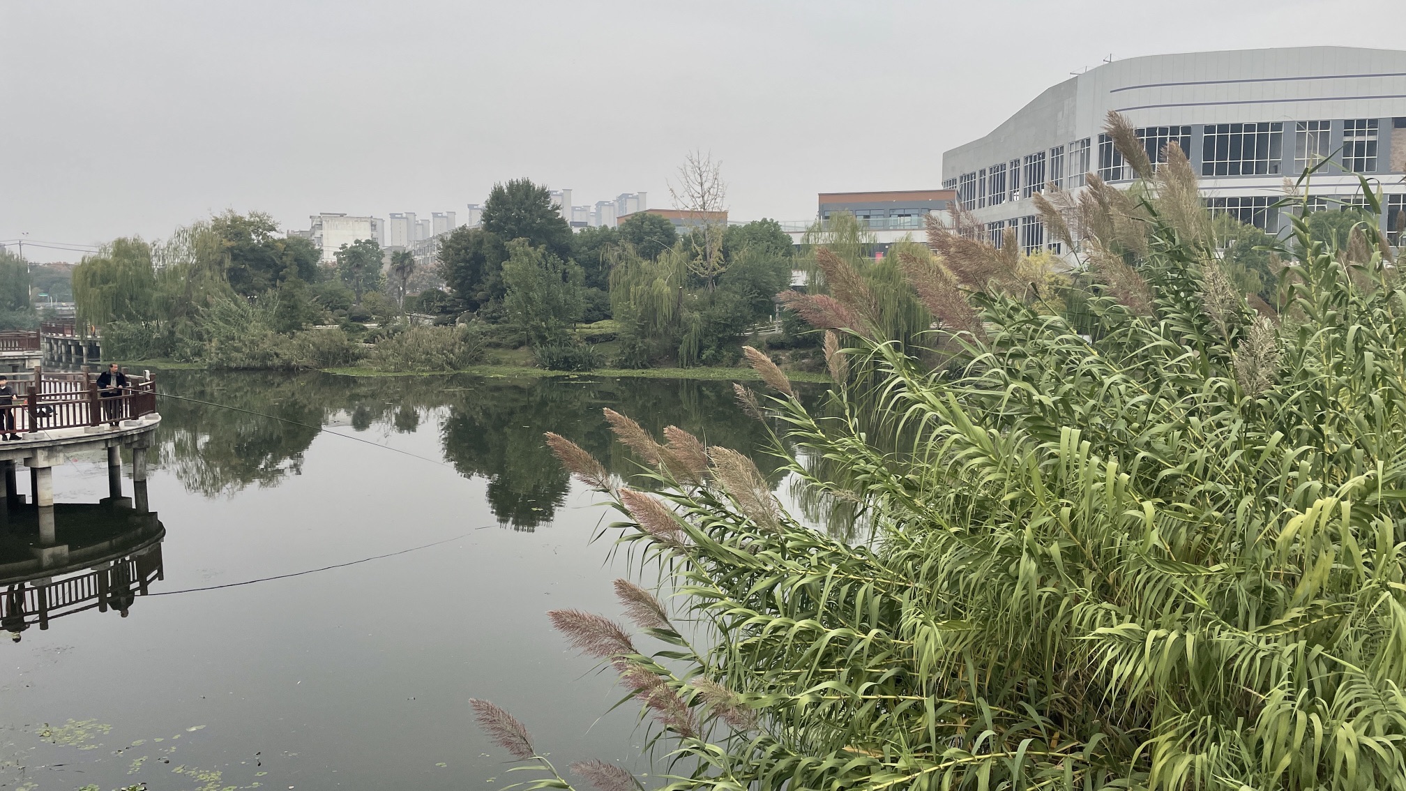 阜南解放社区高杆灯公园旅行图片 1