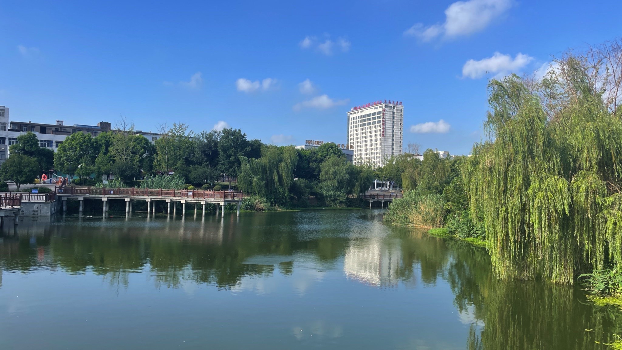 阜南解放社区高杆灯公园旅行图片 1