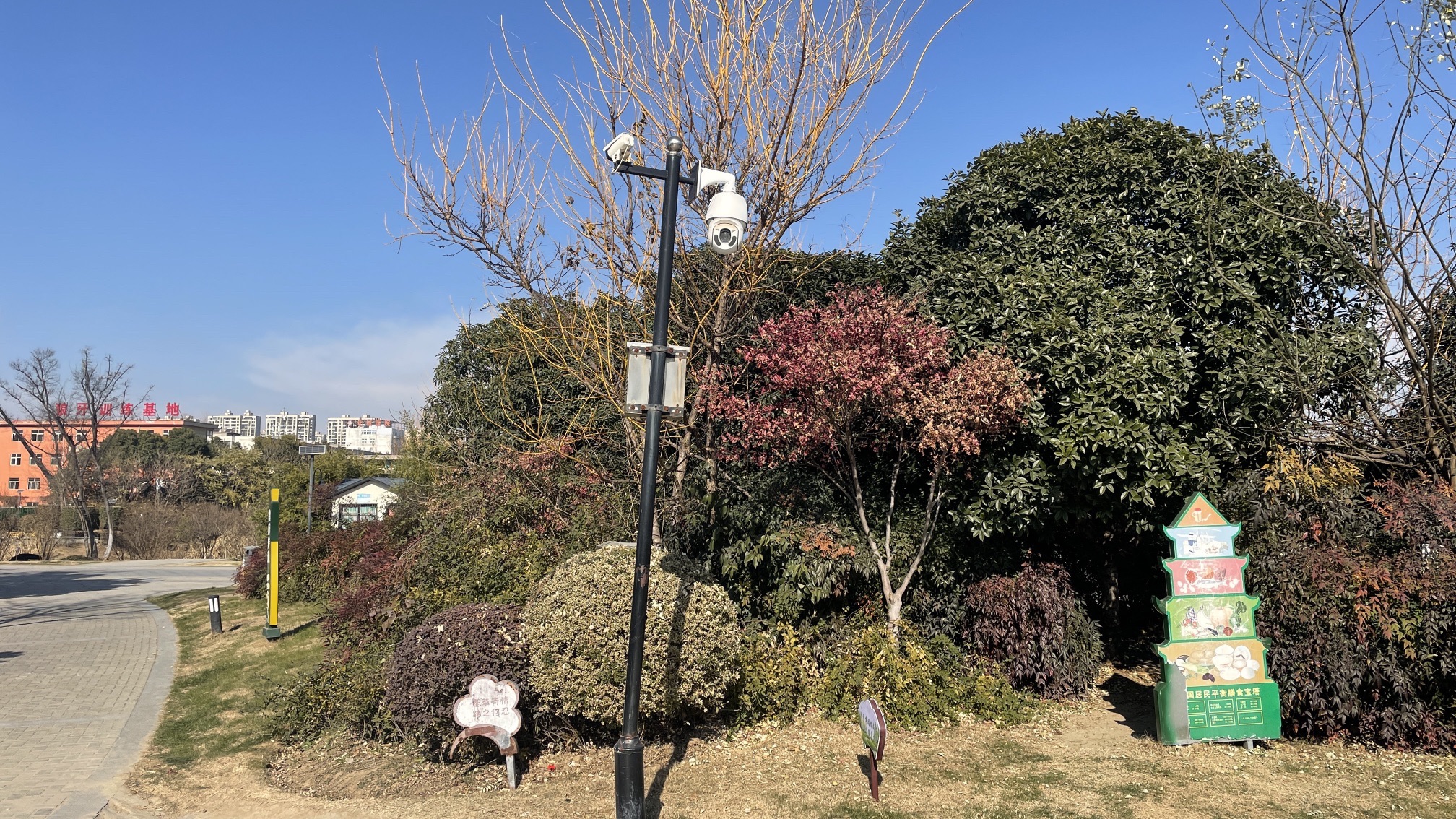 阜南解放社区高杆灯公园旅行图片 1