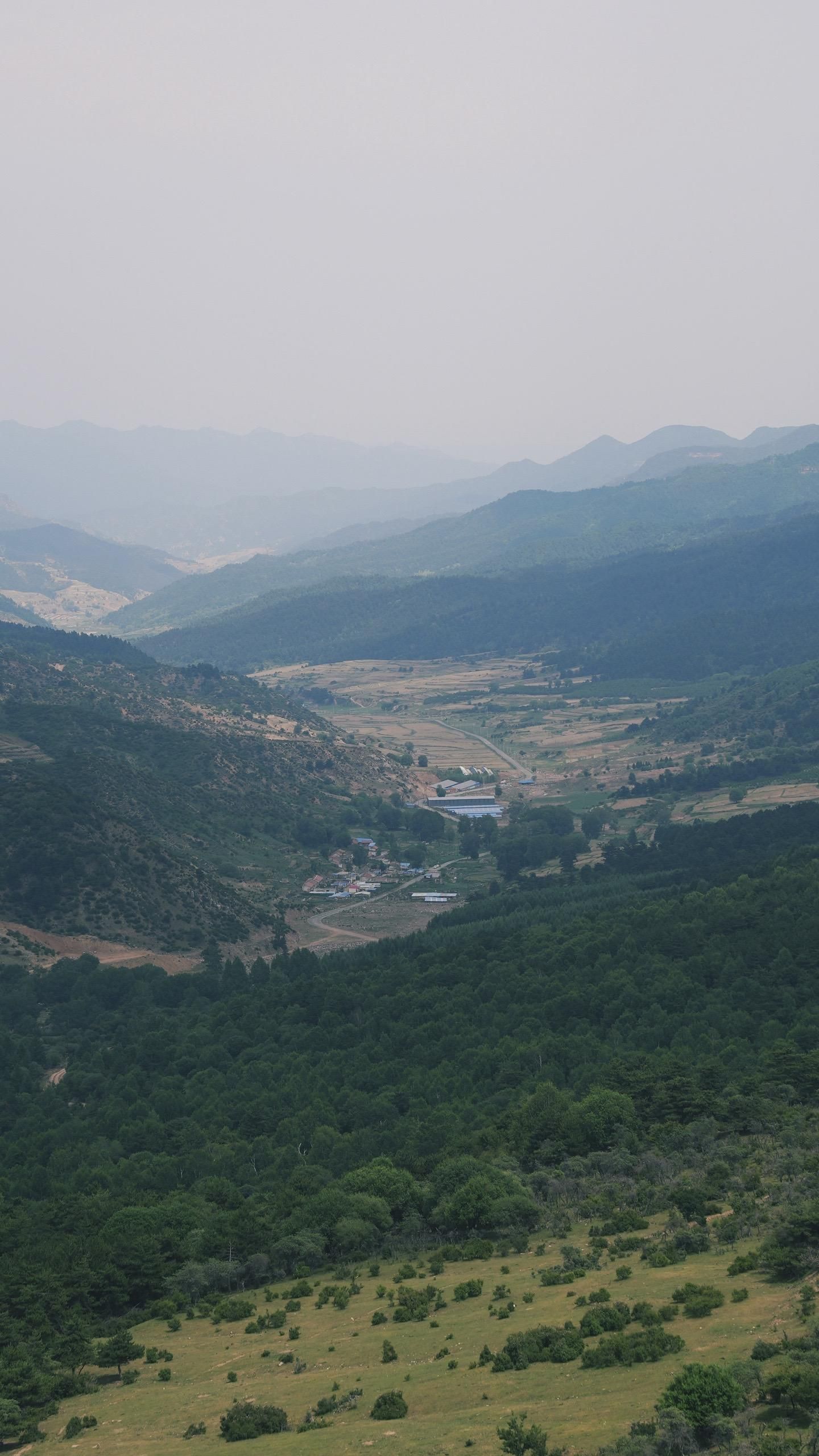 西华镇草原旅行图片 2