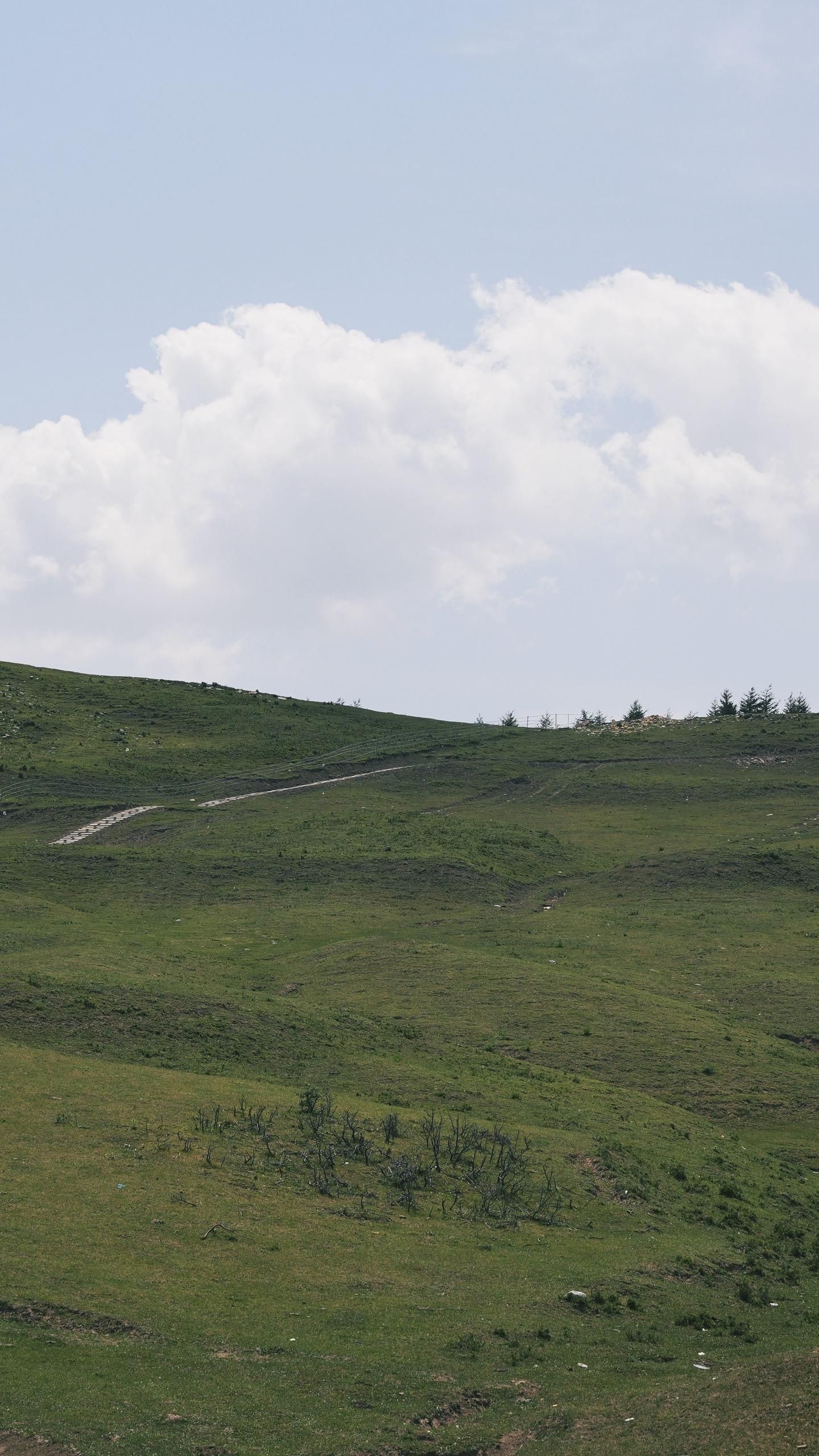 西华镇草原旅行图片 3