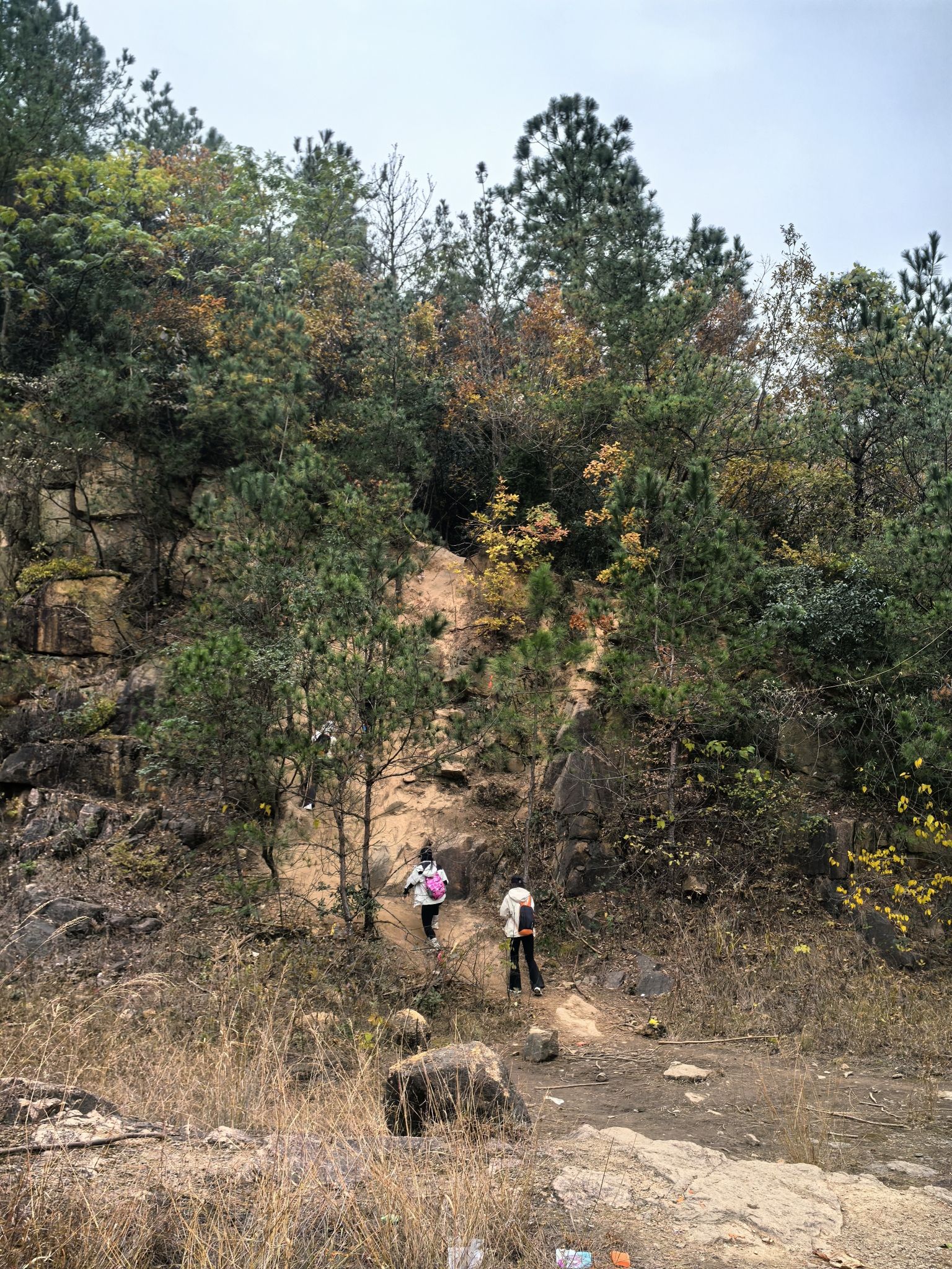 老鹰谷打卡地旅行图片 3