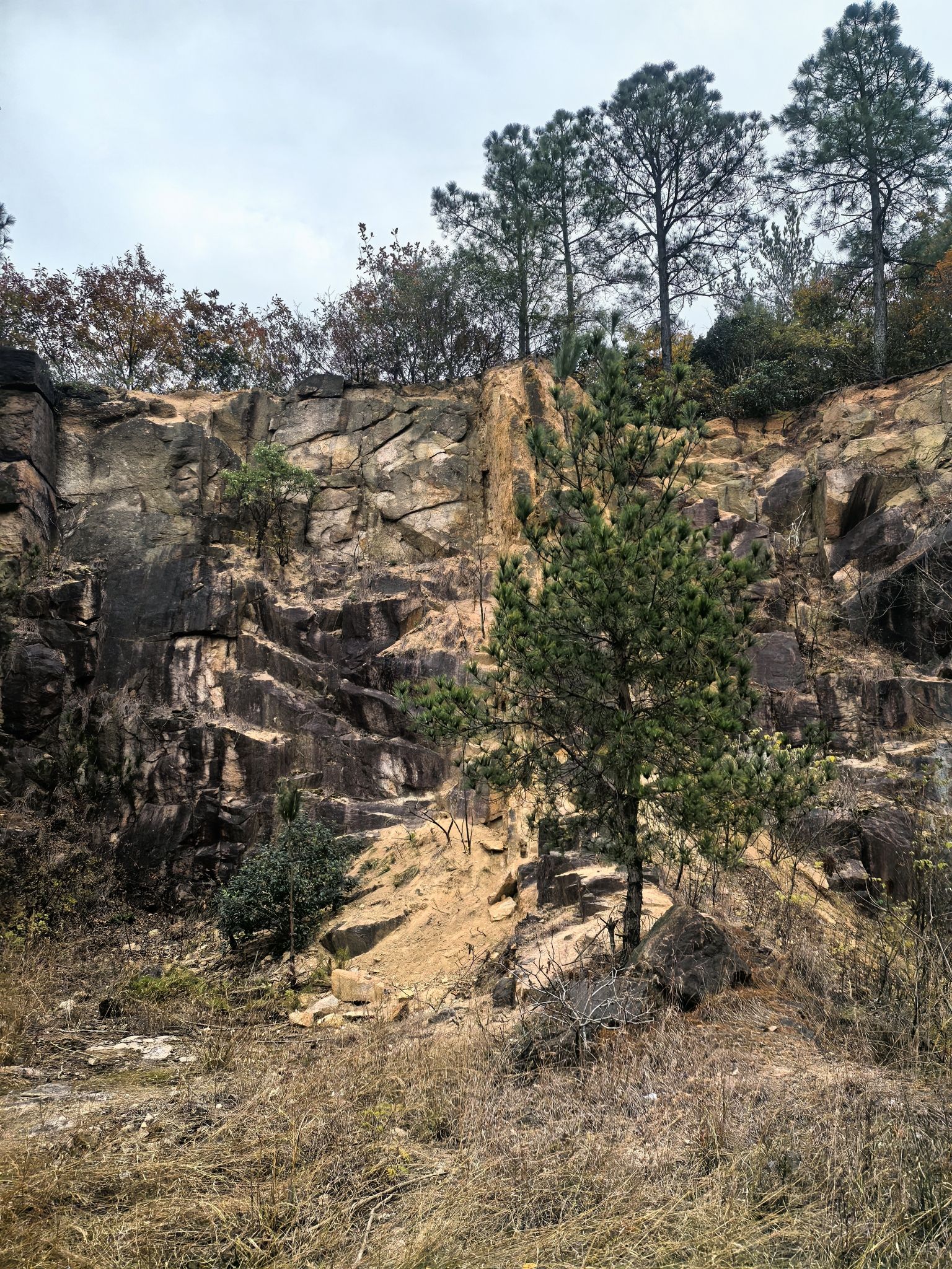 老鹰谷打卡地旅行图片 2