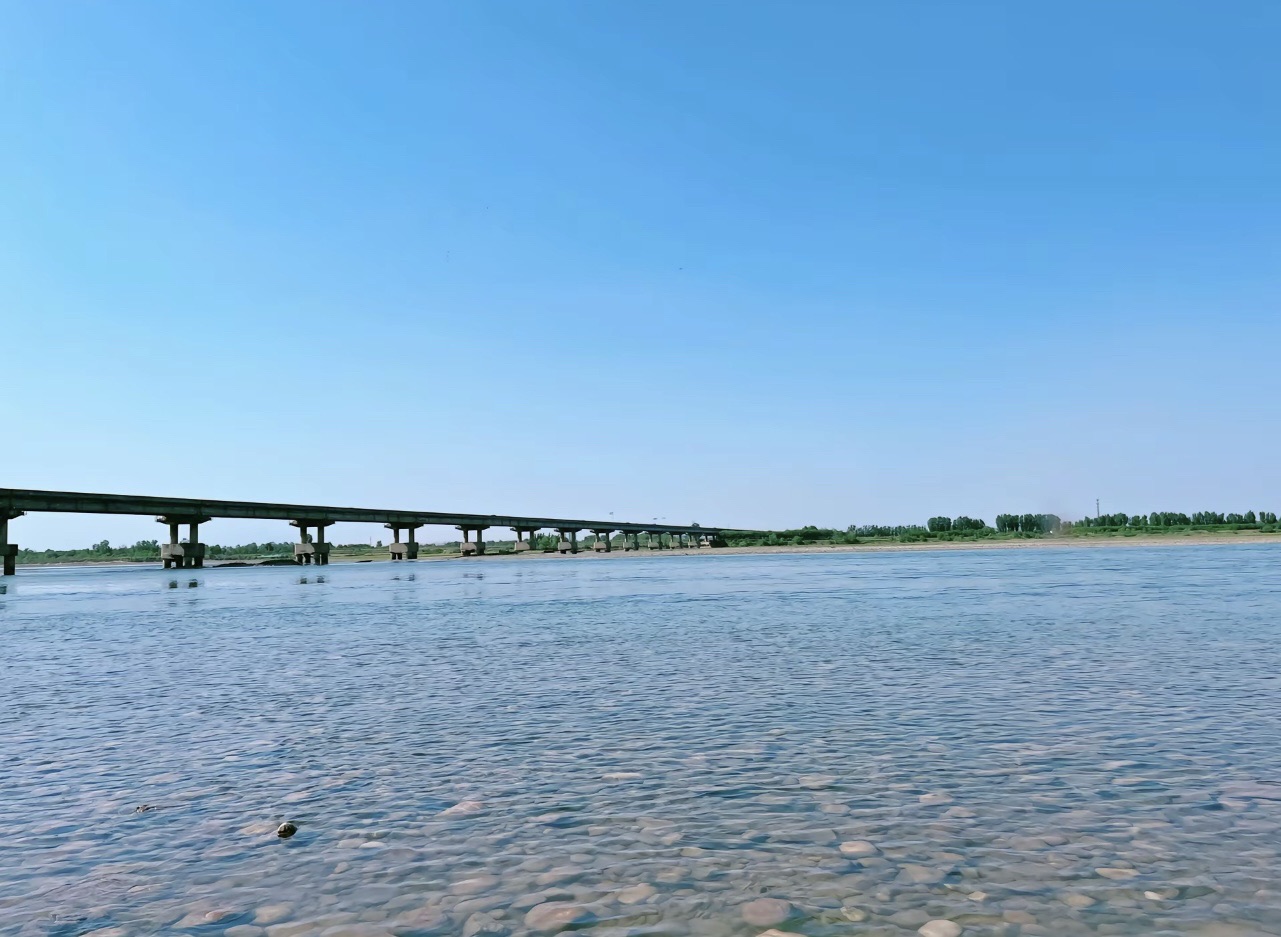 洛阳市黄河滩湿地小三亚旅行图片 3